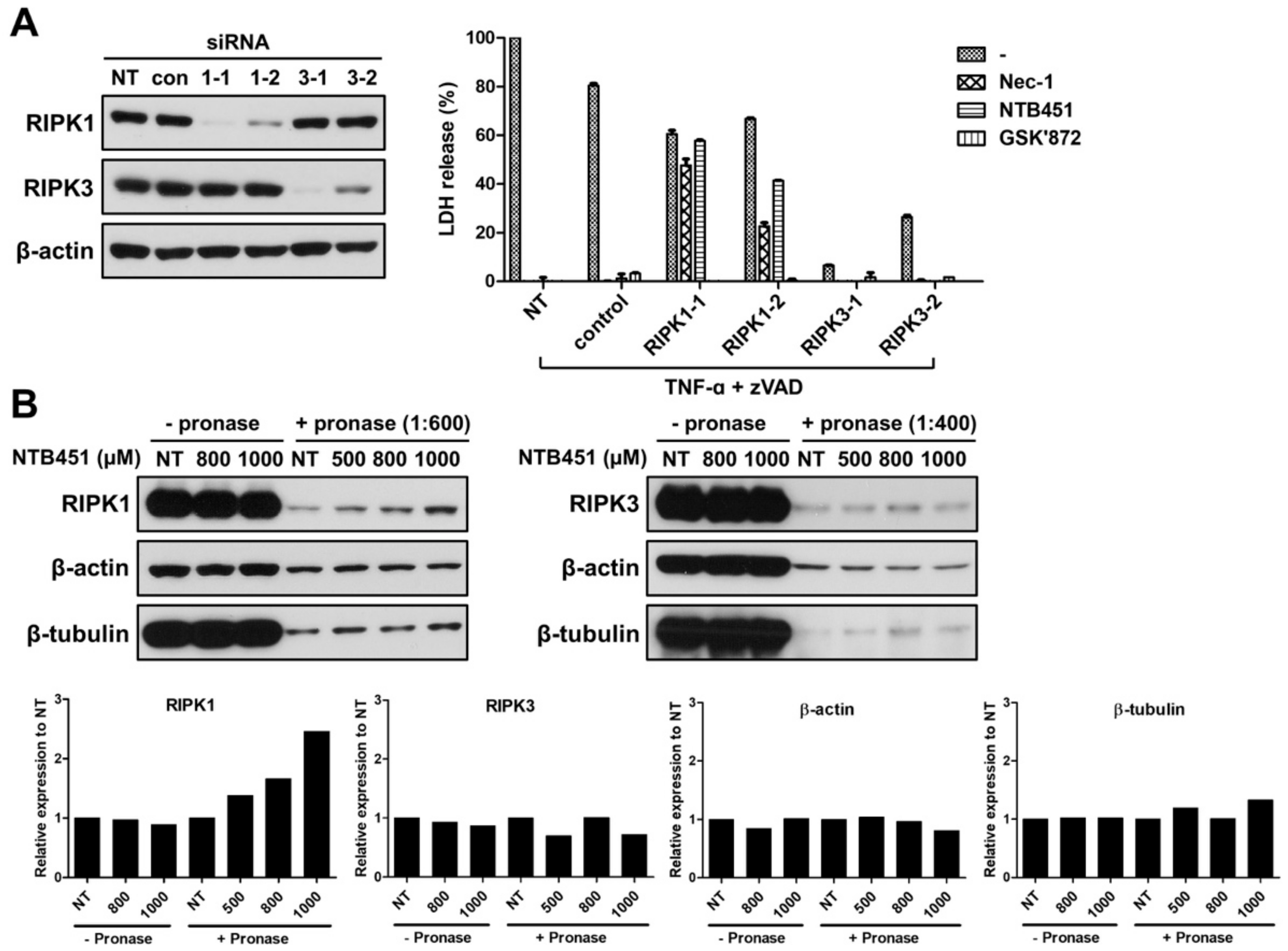 Molecules 23 02884 g003