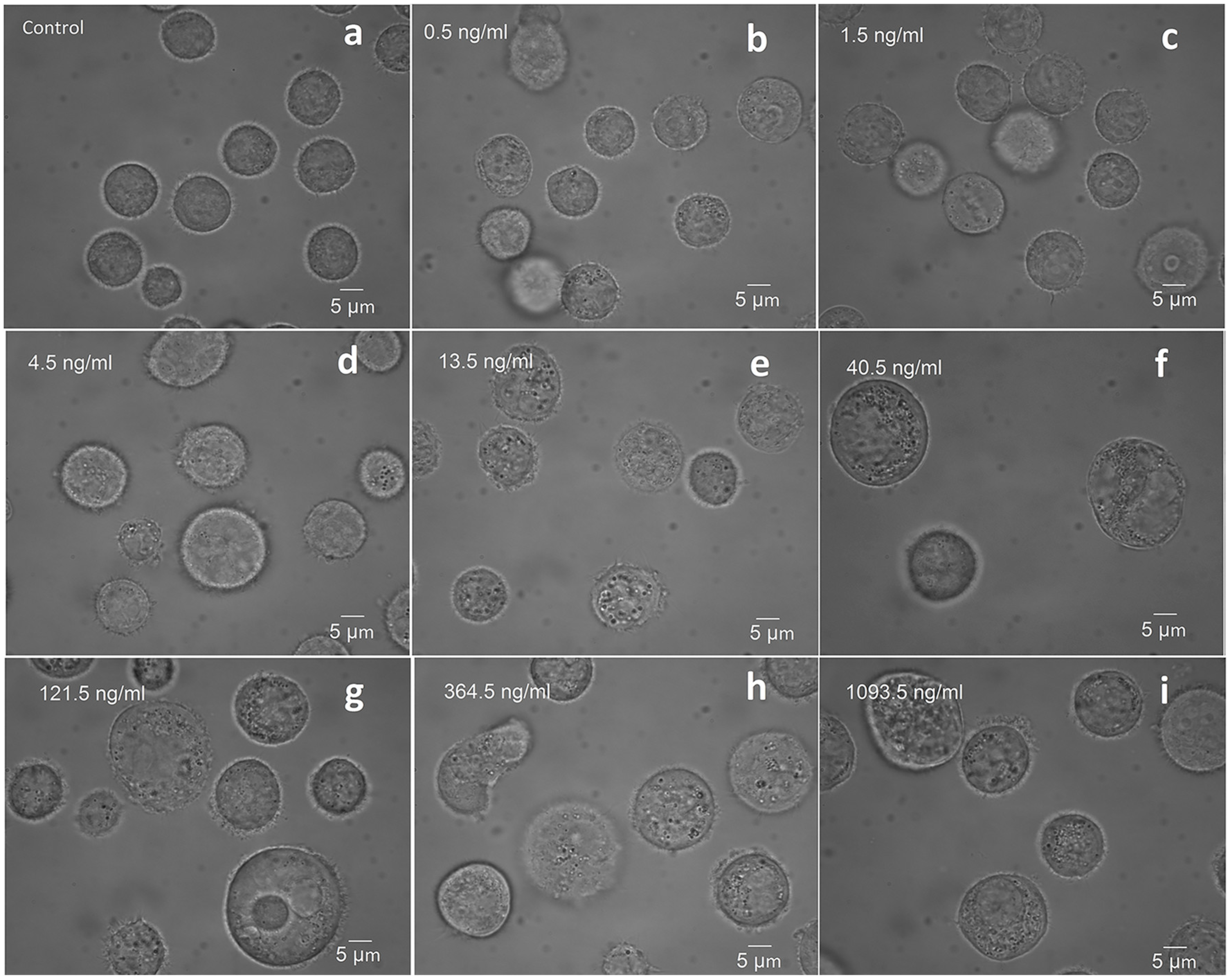 Molecules 23 02903 g001 Molecules 23 02903 g001