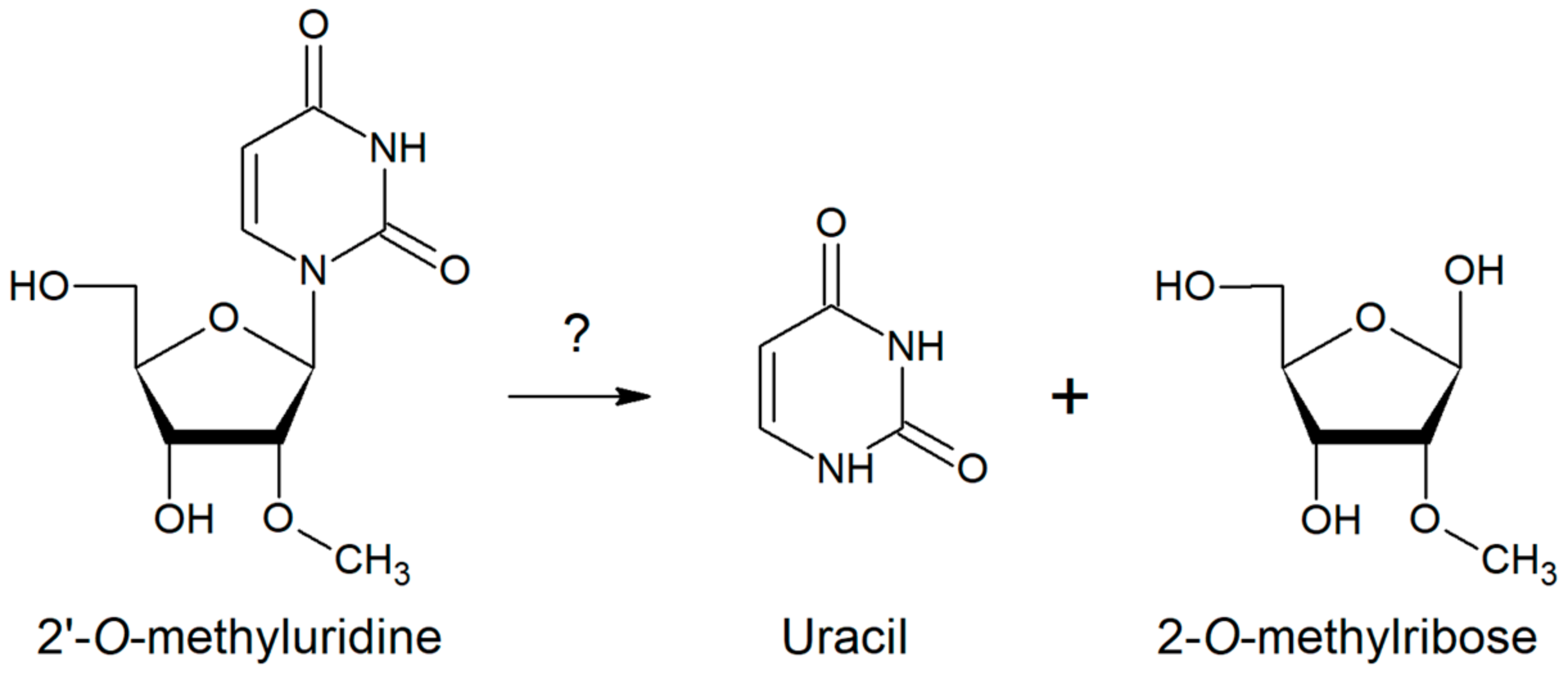 Molecules 23 02904 g001