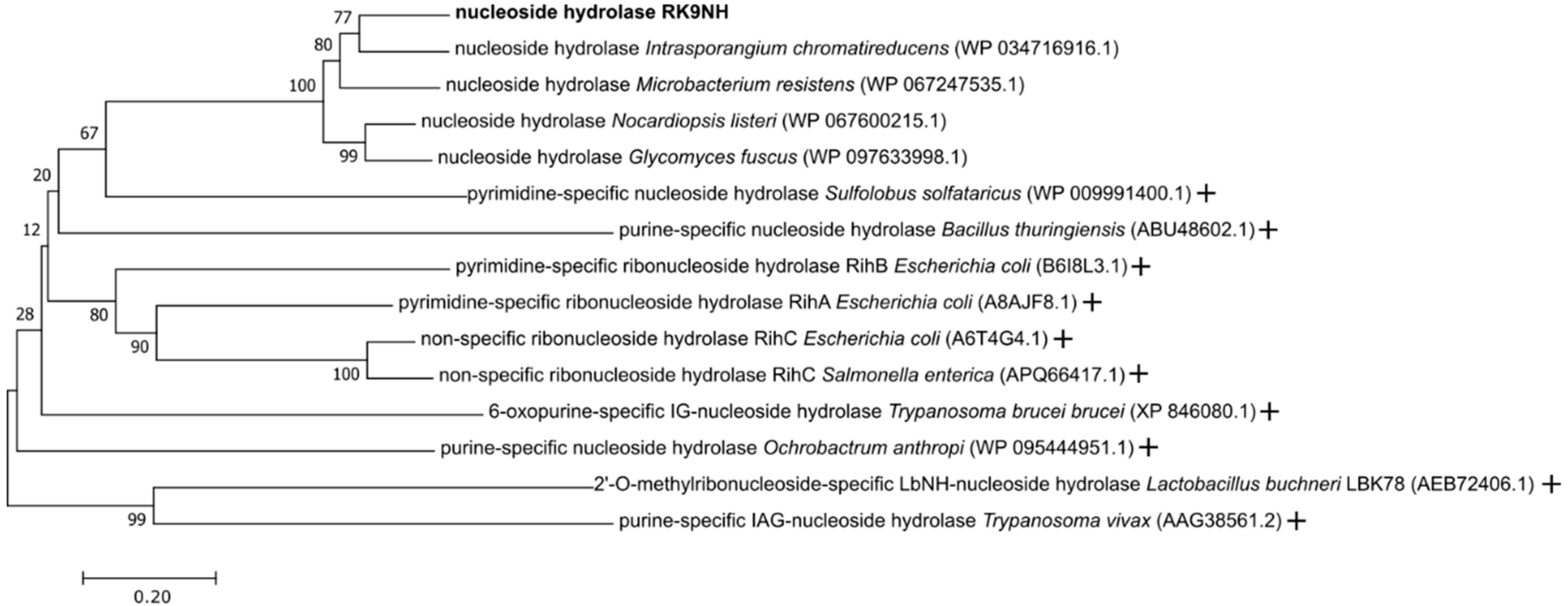Molecules 23 02904 g002