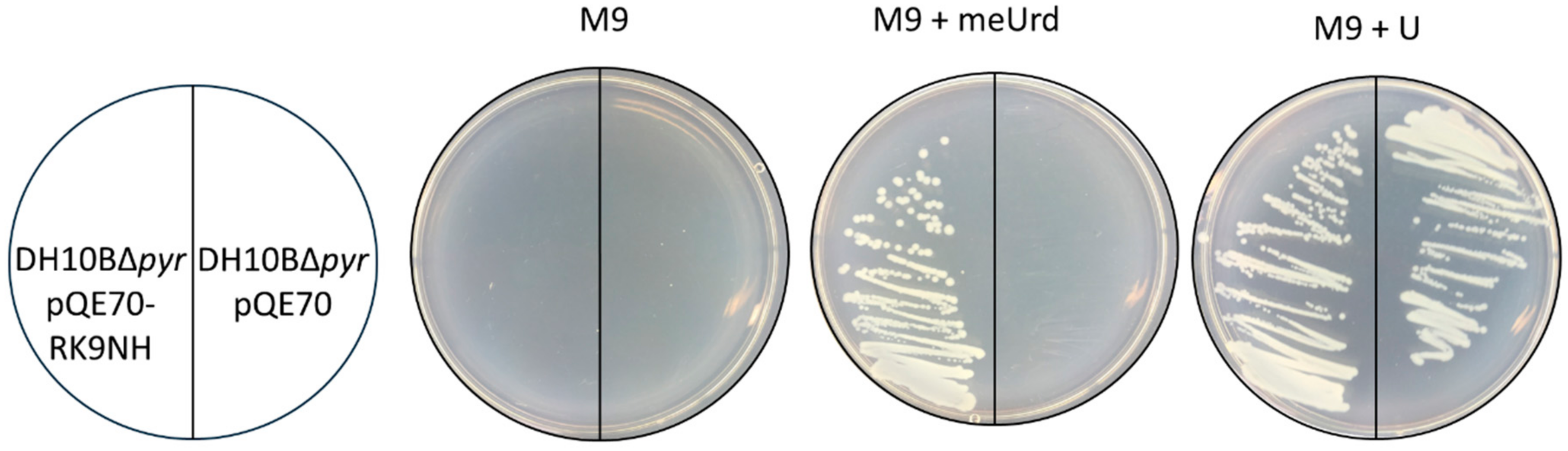Molecules 23 02904 g004