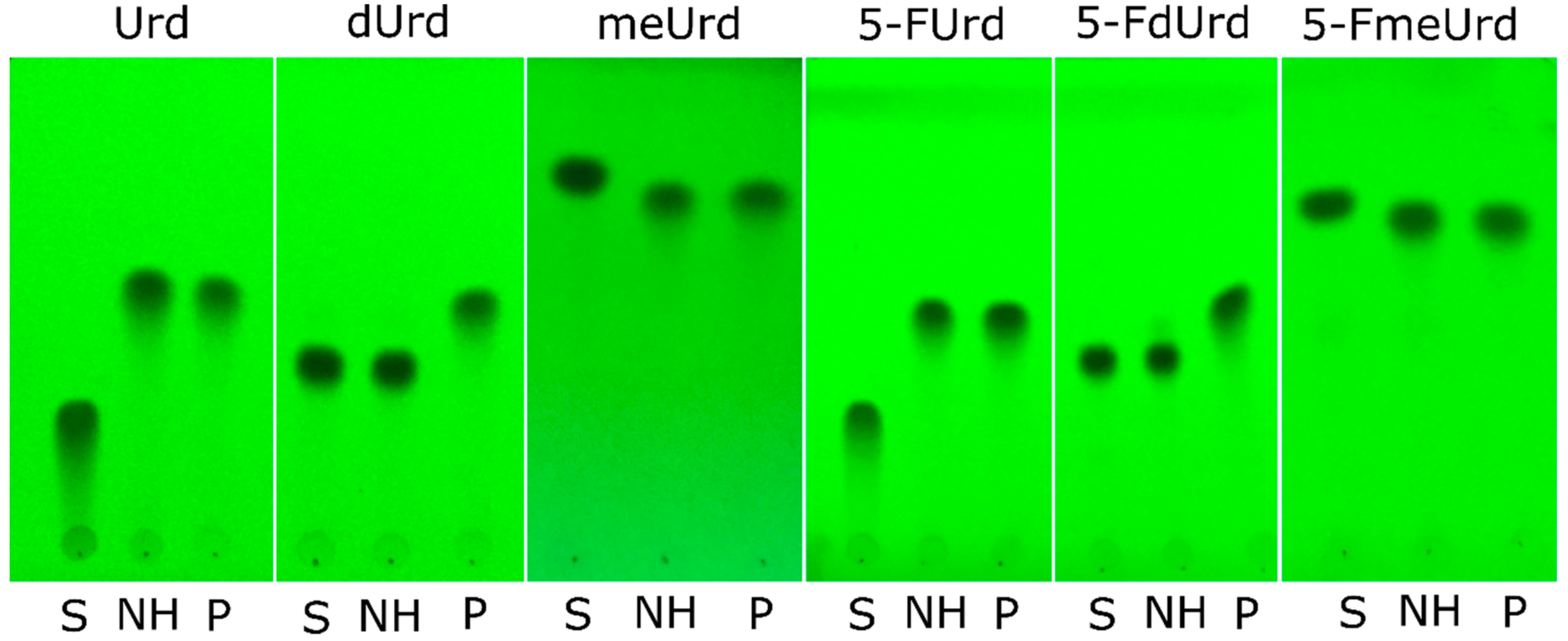 Molecules 23 02904 g005