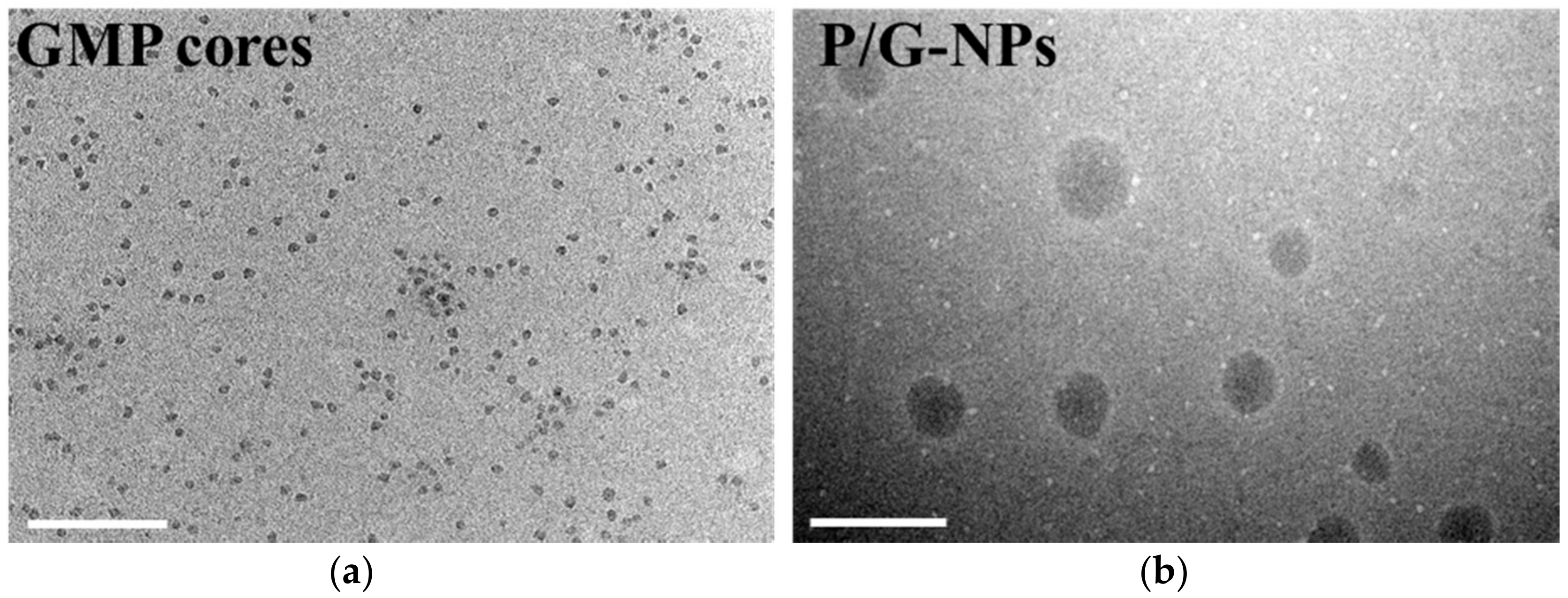 Molecules 23 02906 g001