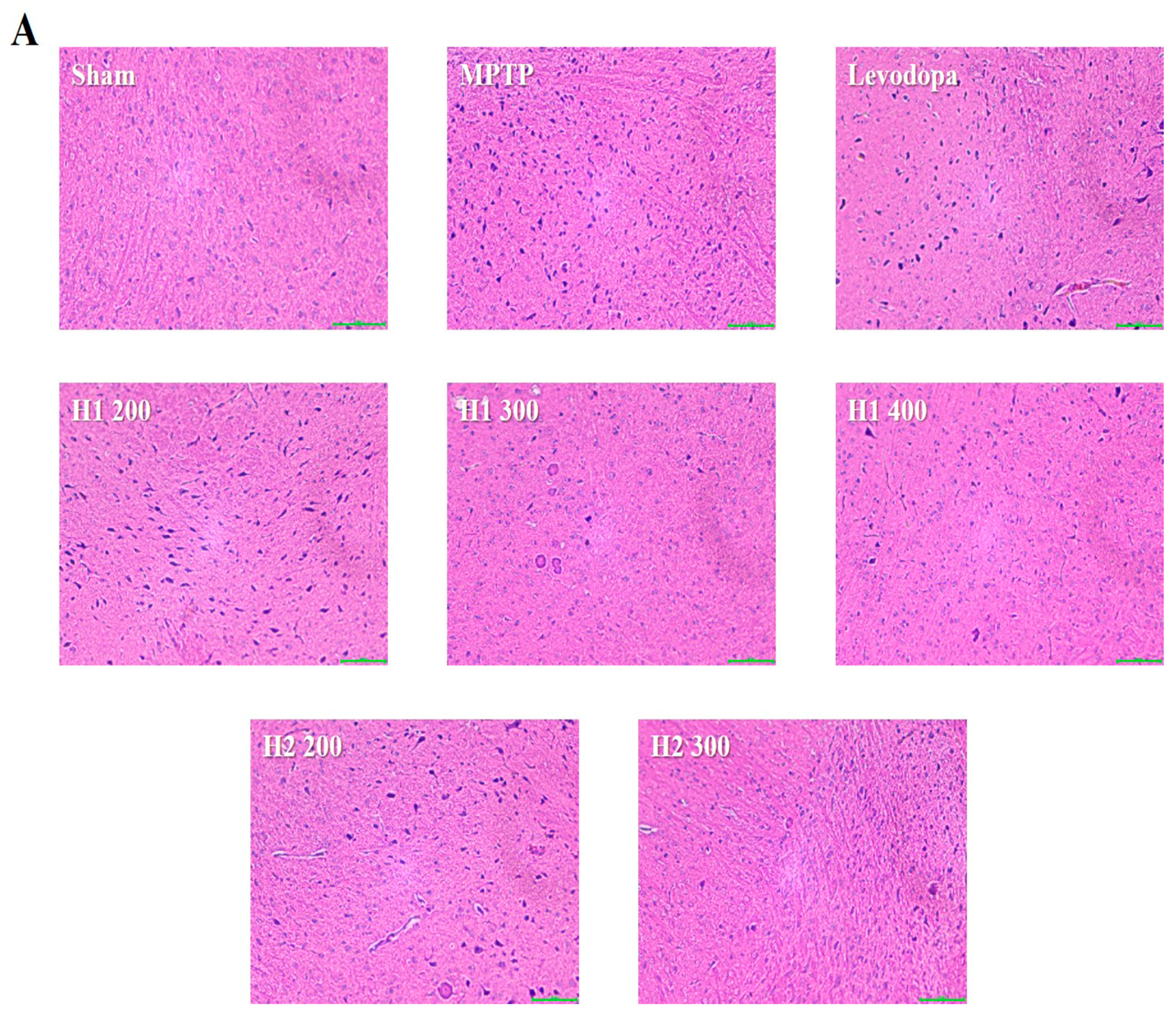 Molecules 23 02920 g004a