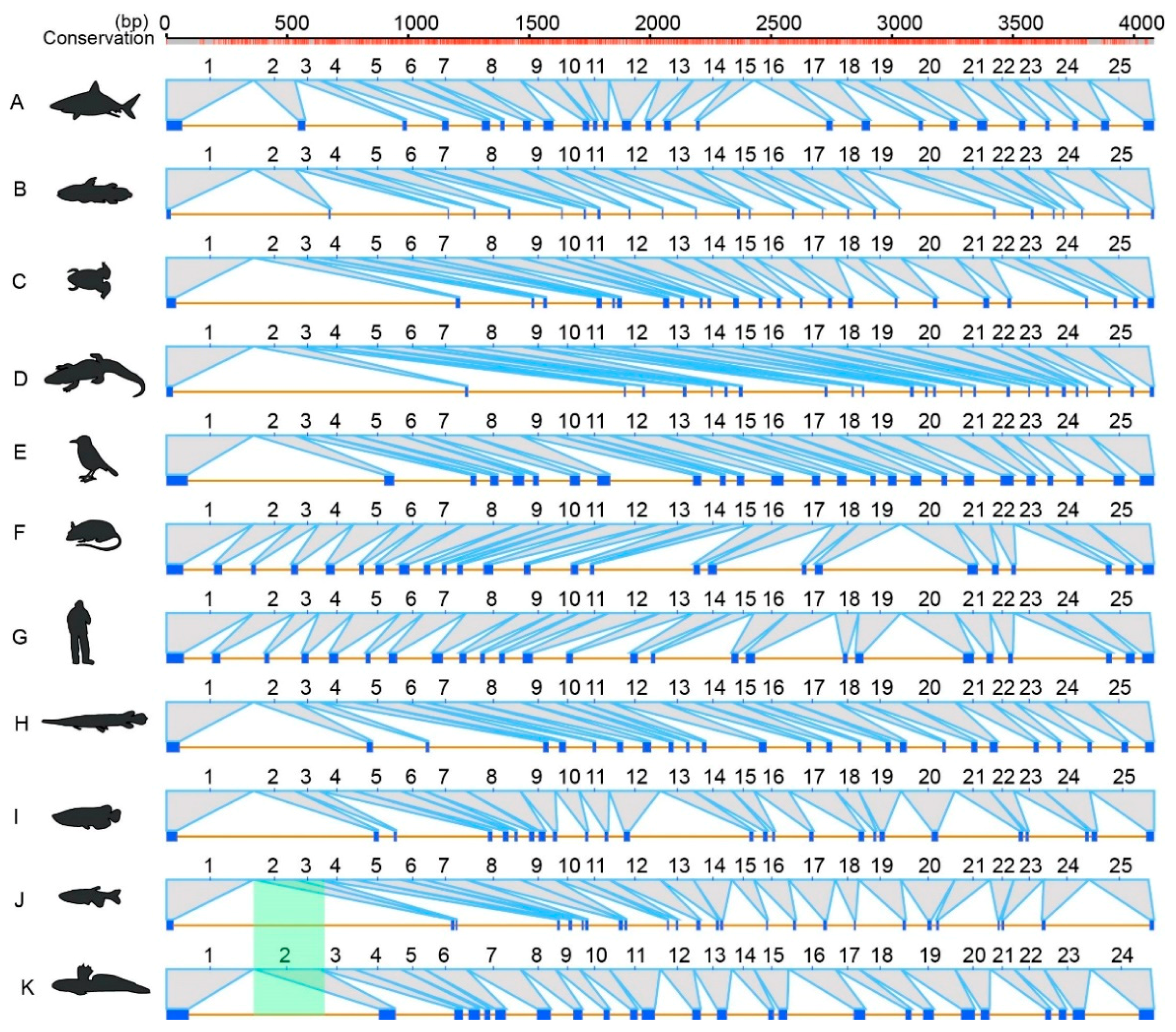 Molecules 23 02923 g005