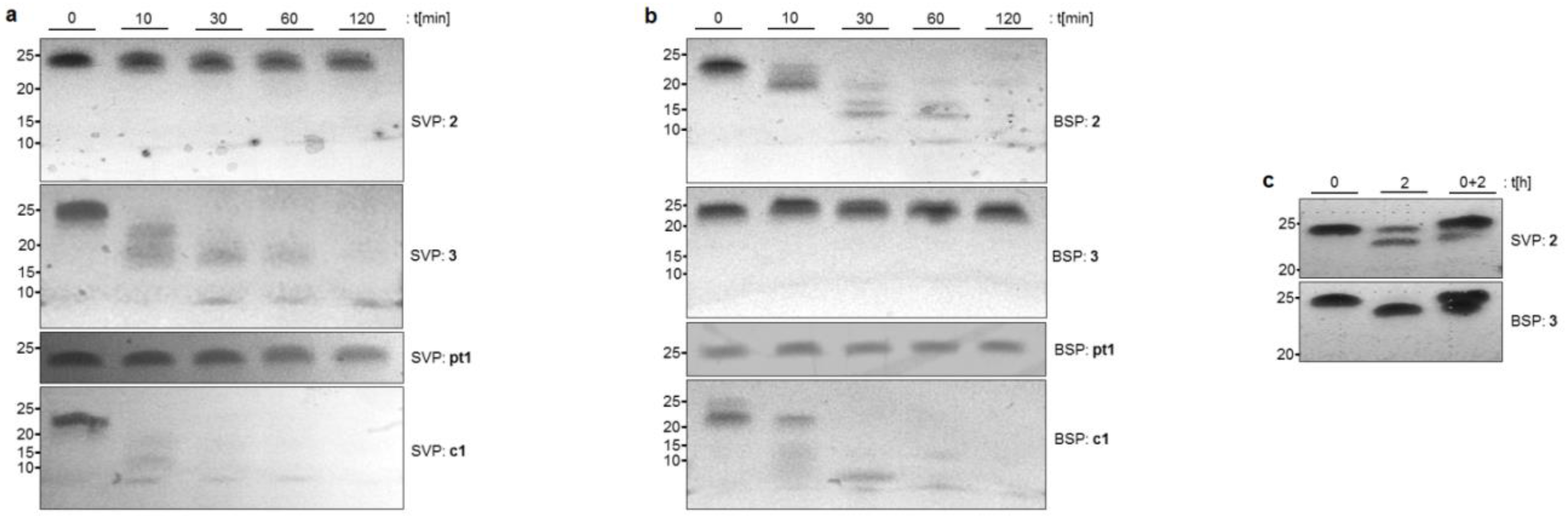 Molecules 23 02941 g002