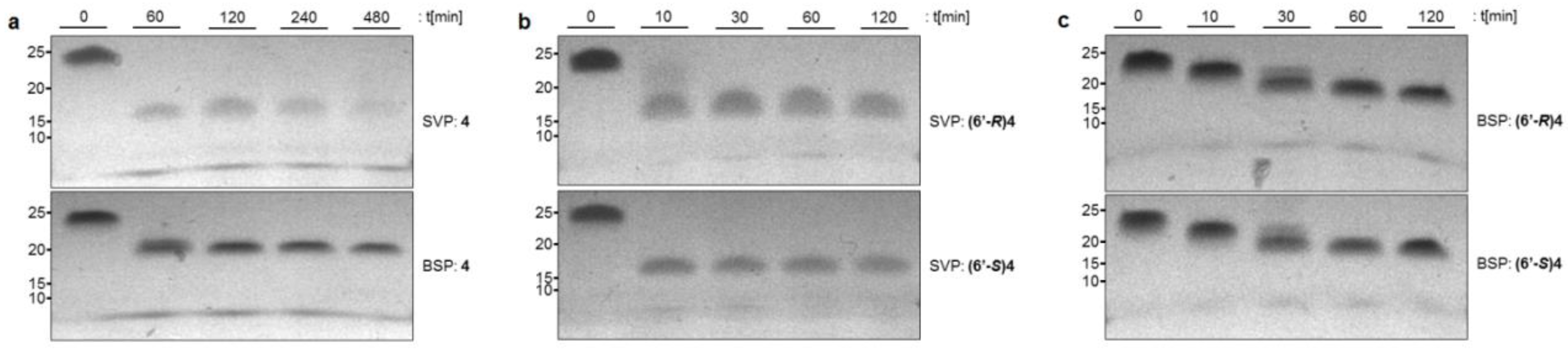 Molecules 23 02941 g003