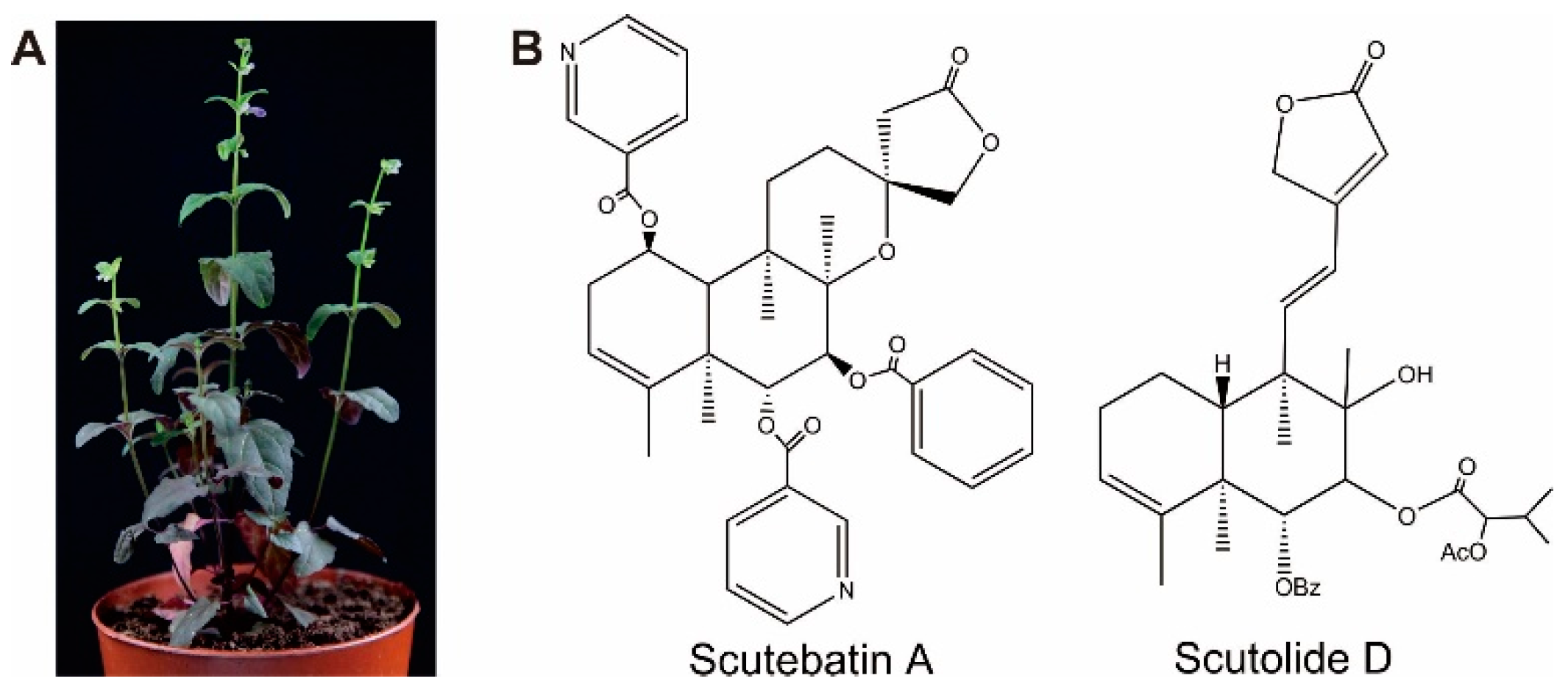 Molecules 23 02952 g001