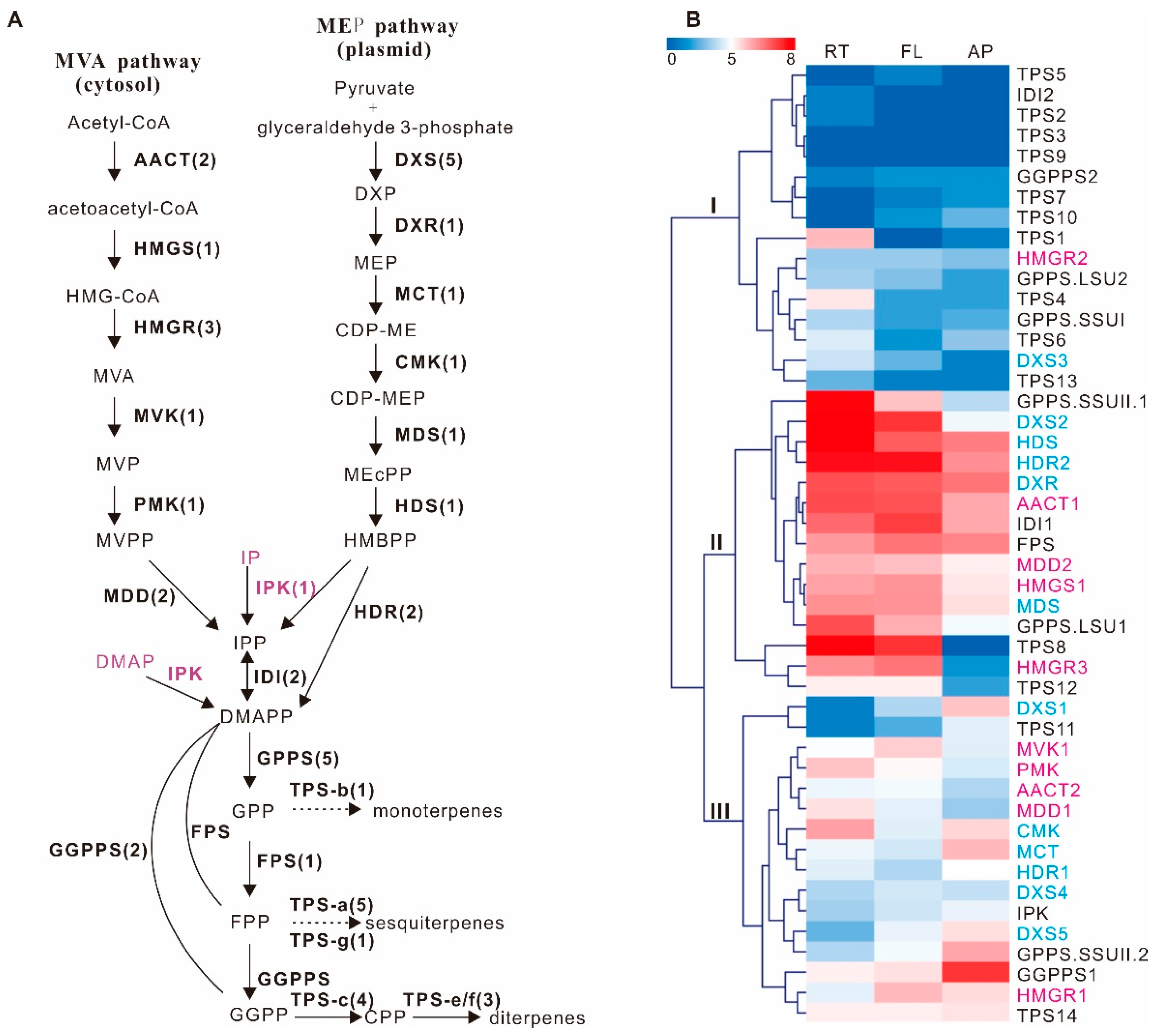 Molecules 23 02952 g003