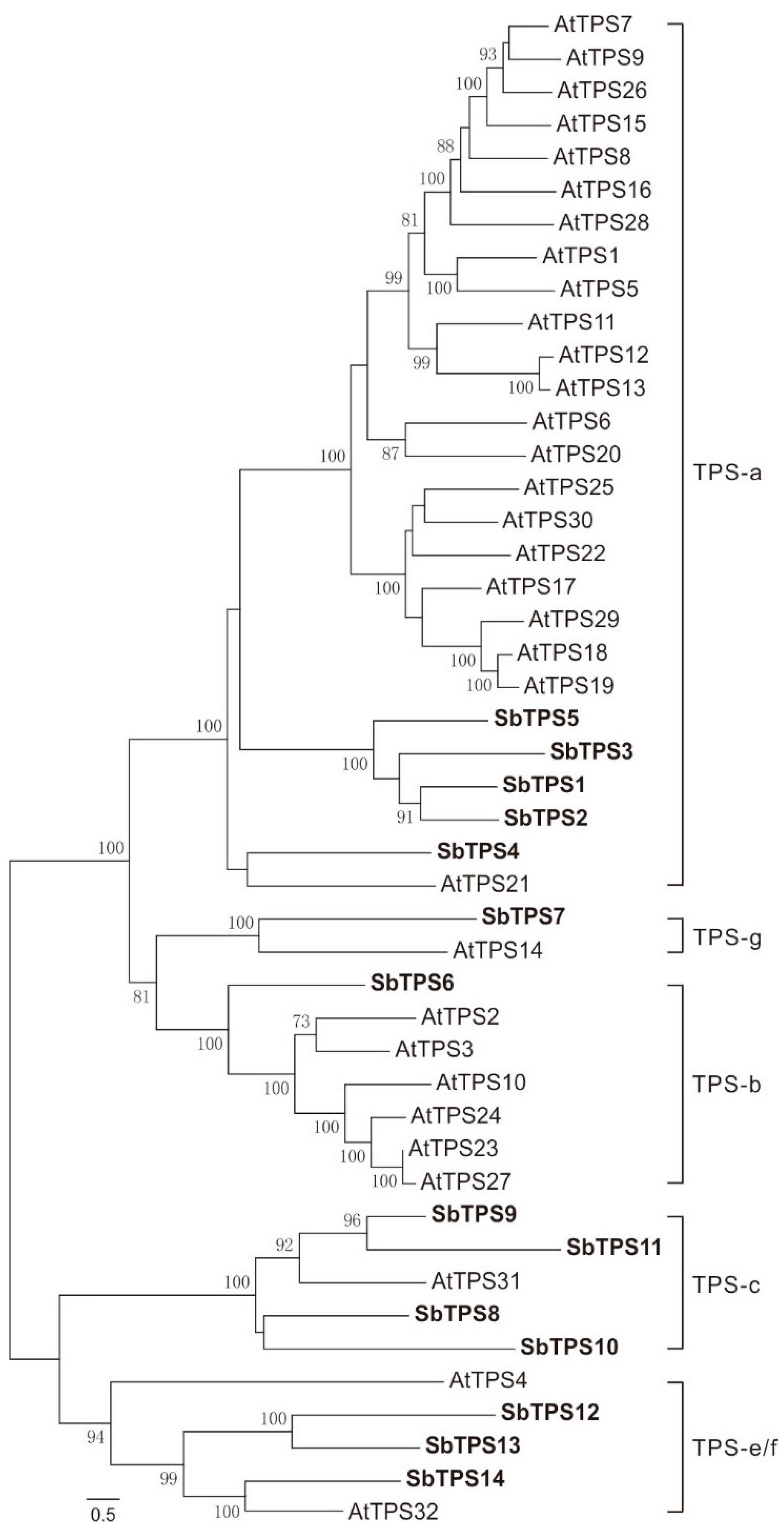 Molecules 23 02952 g004