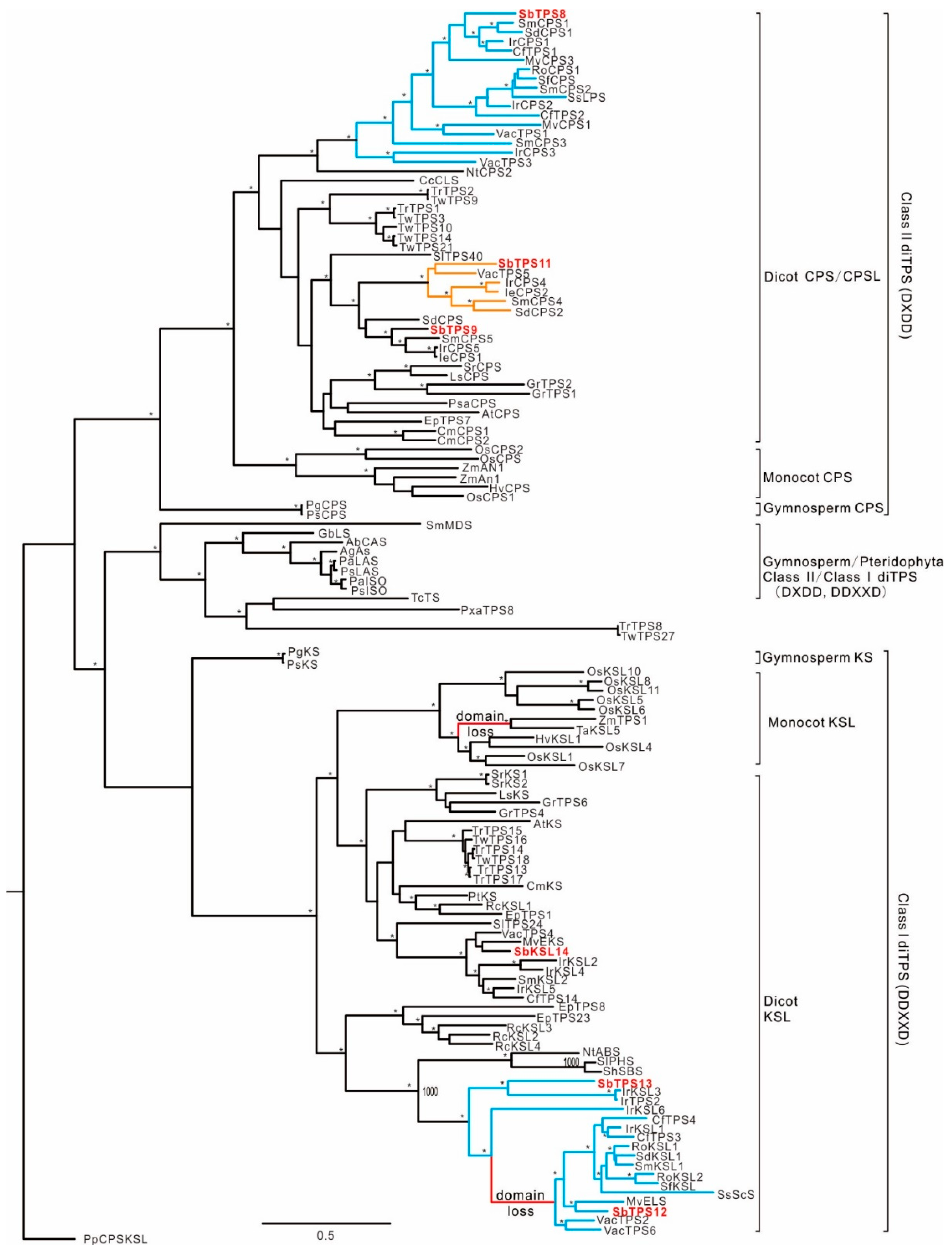 Molecules 23 02952 g005