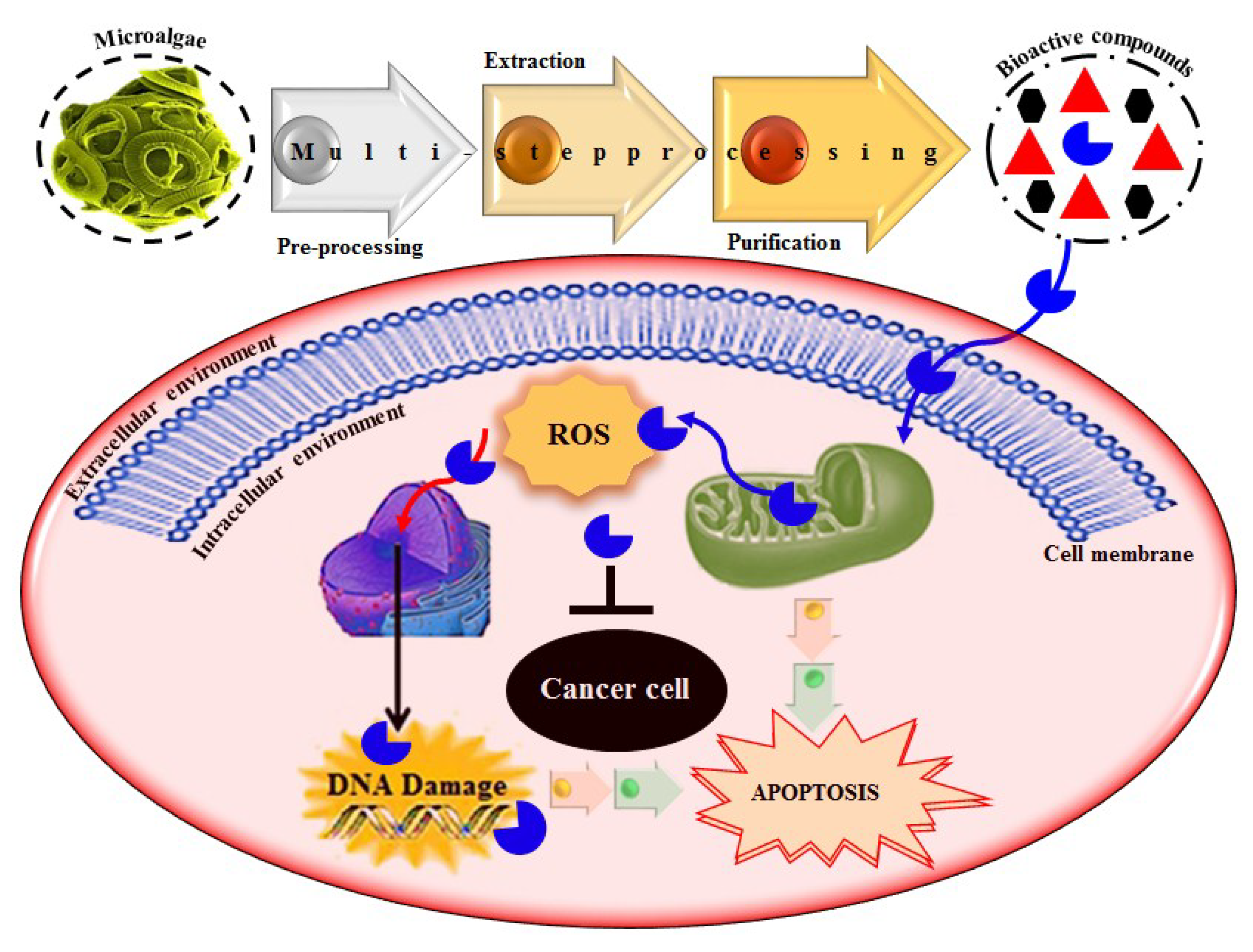 Molecules 23 02953 g008 Molecules 23 02953 g008