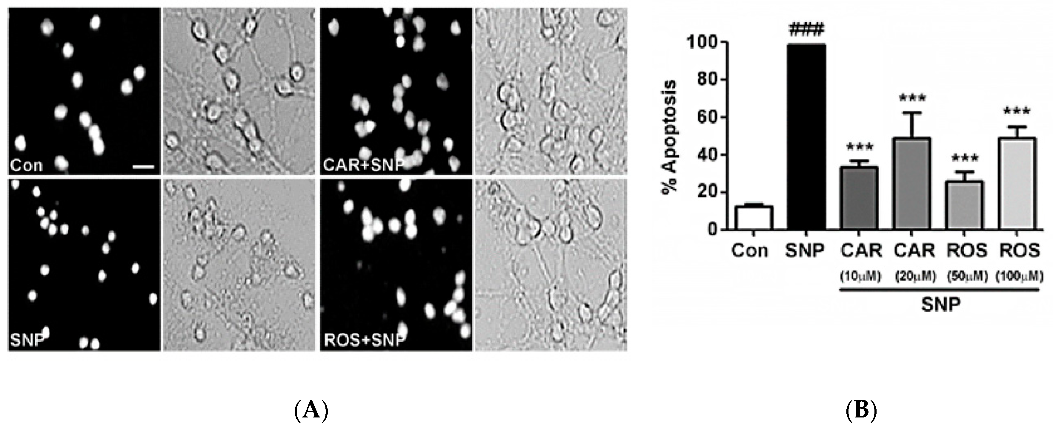 Molecules 23 02956 g002