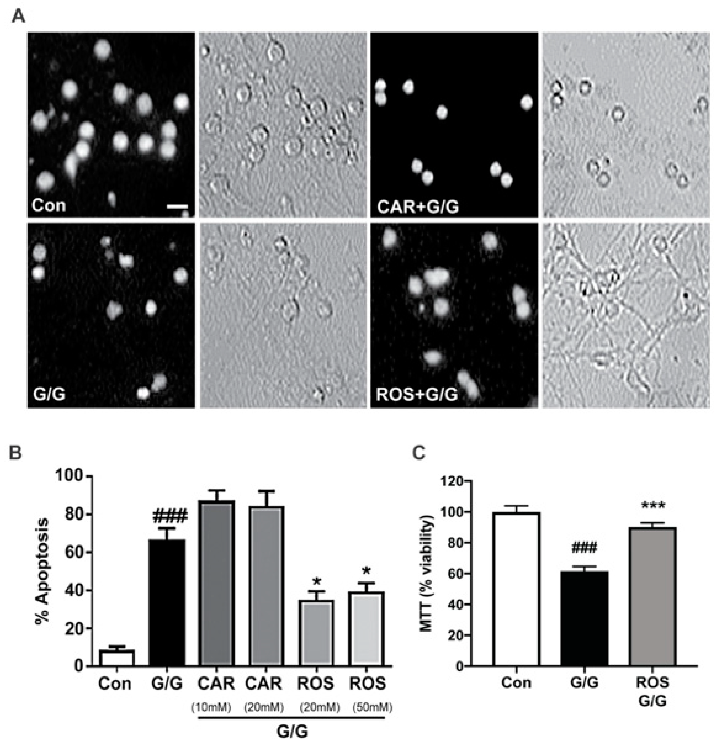 Molecules 23 02956 g003