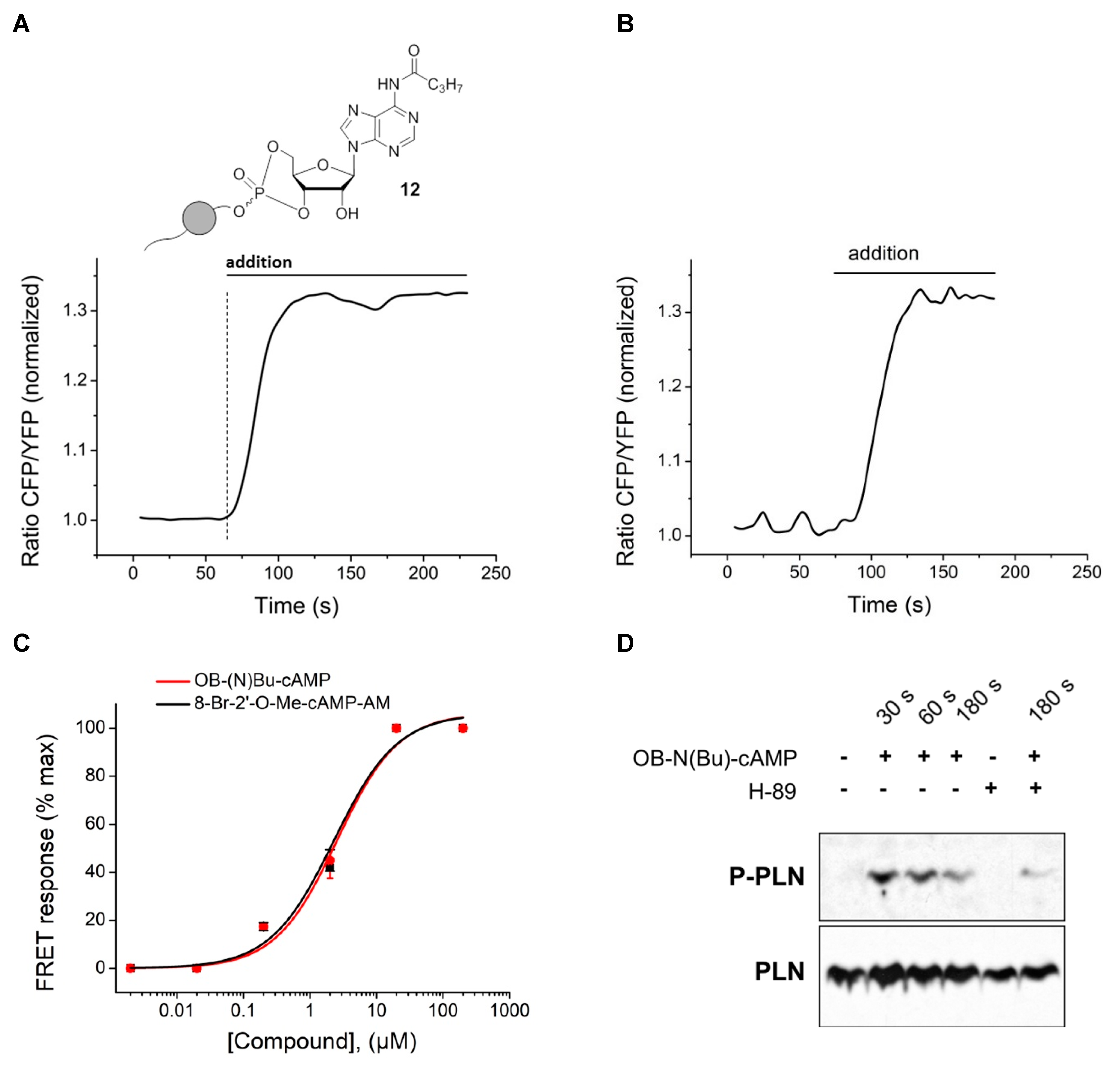 Molecules 23 02960 g007