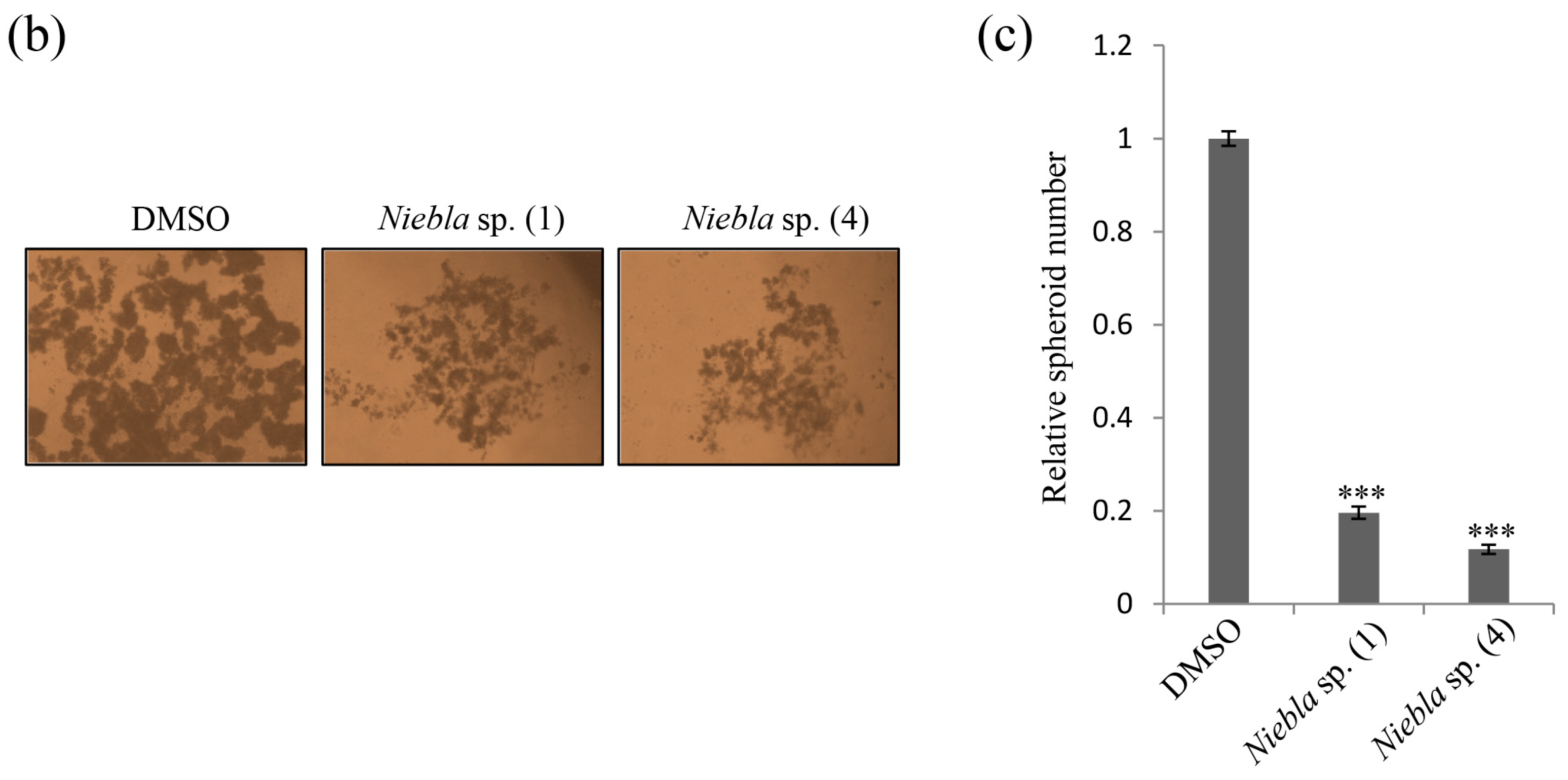 Molecules 23 02968 g001b Molecules 23 02968 g001b