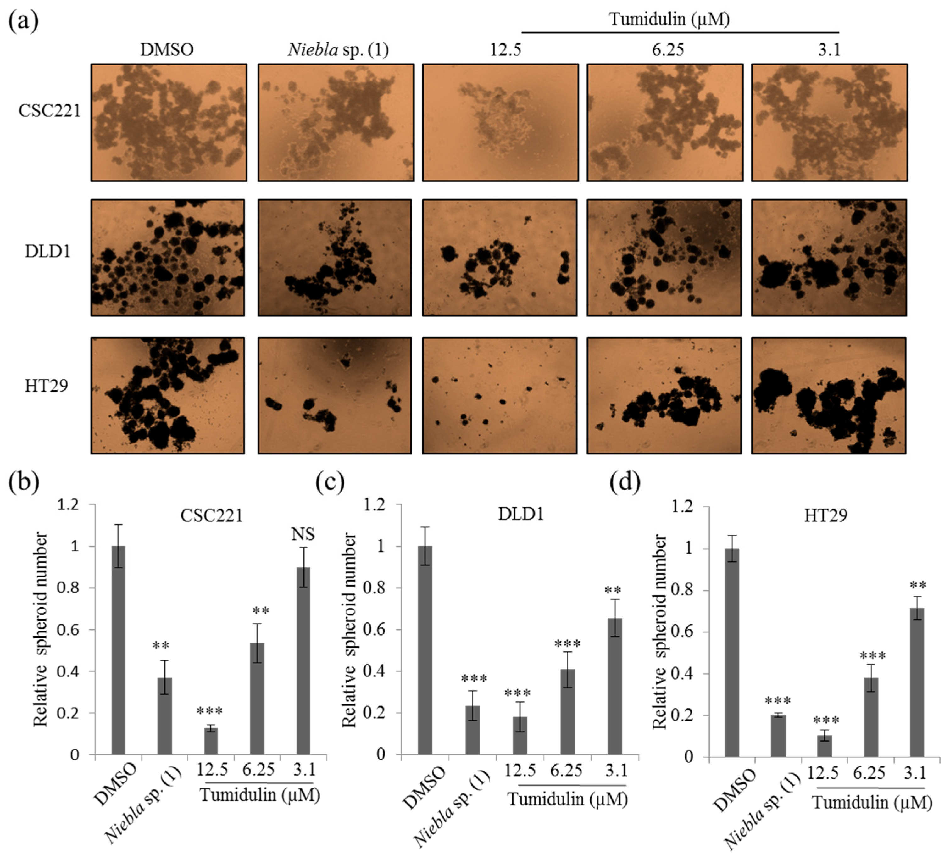 Molecules 23 02968 g003 Molecules 23 02968 g003