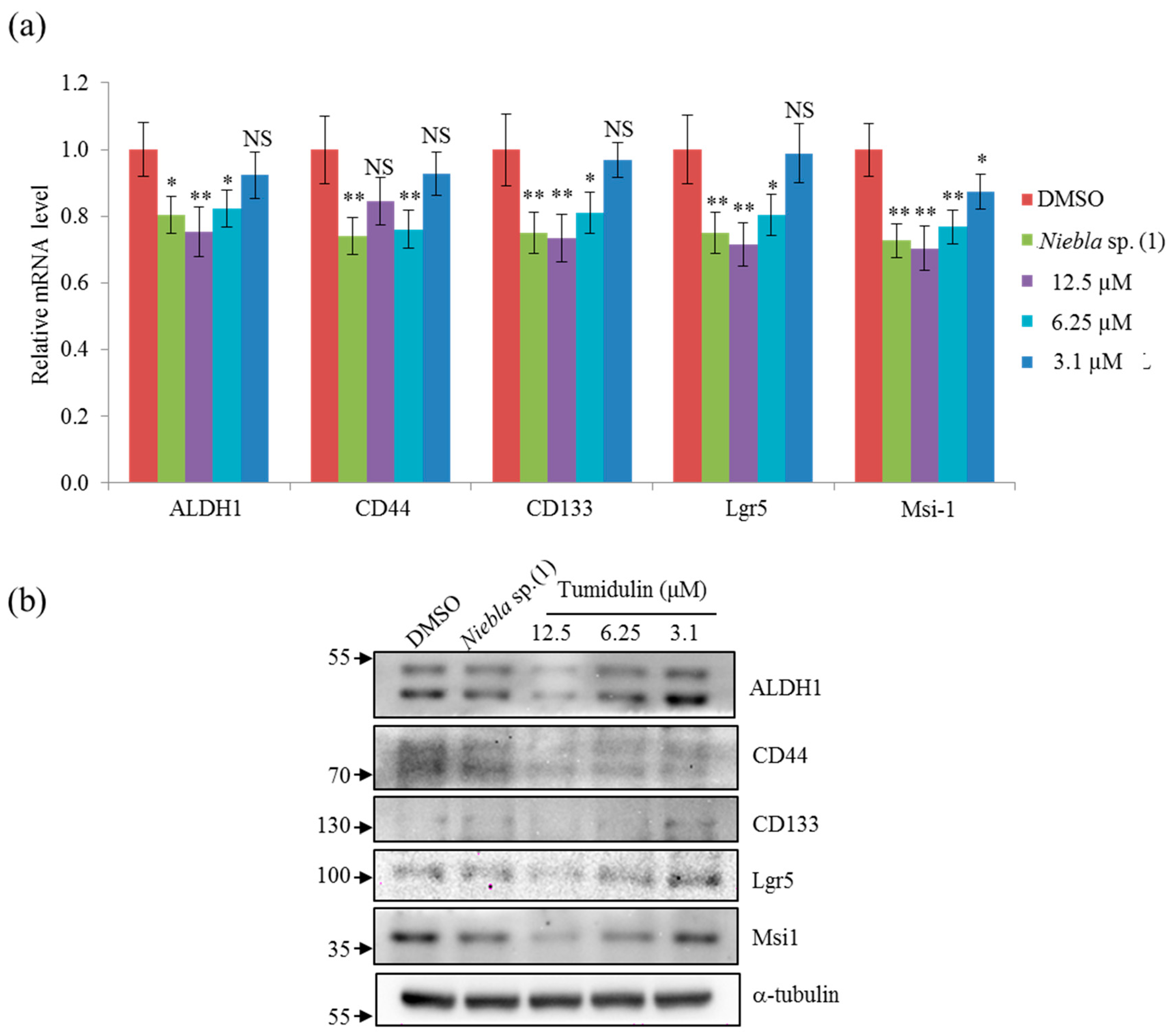 Molecules 23 02968 g004 Molecules 23 02968 g004