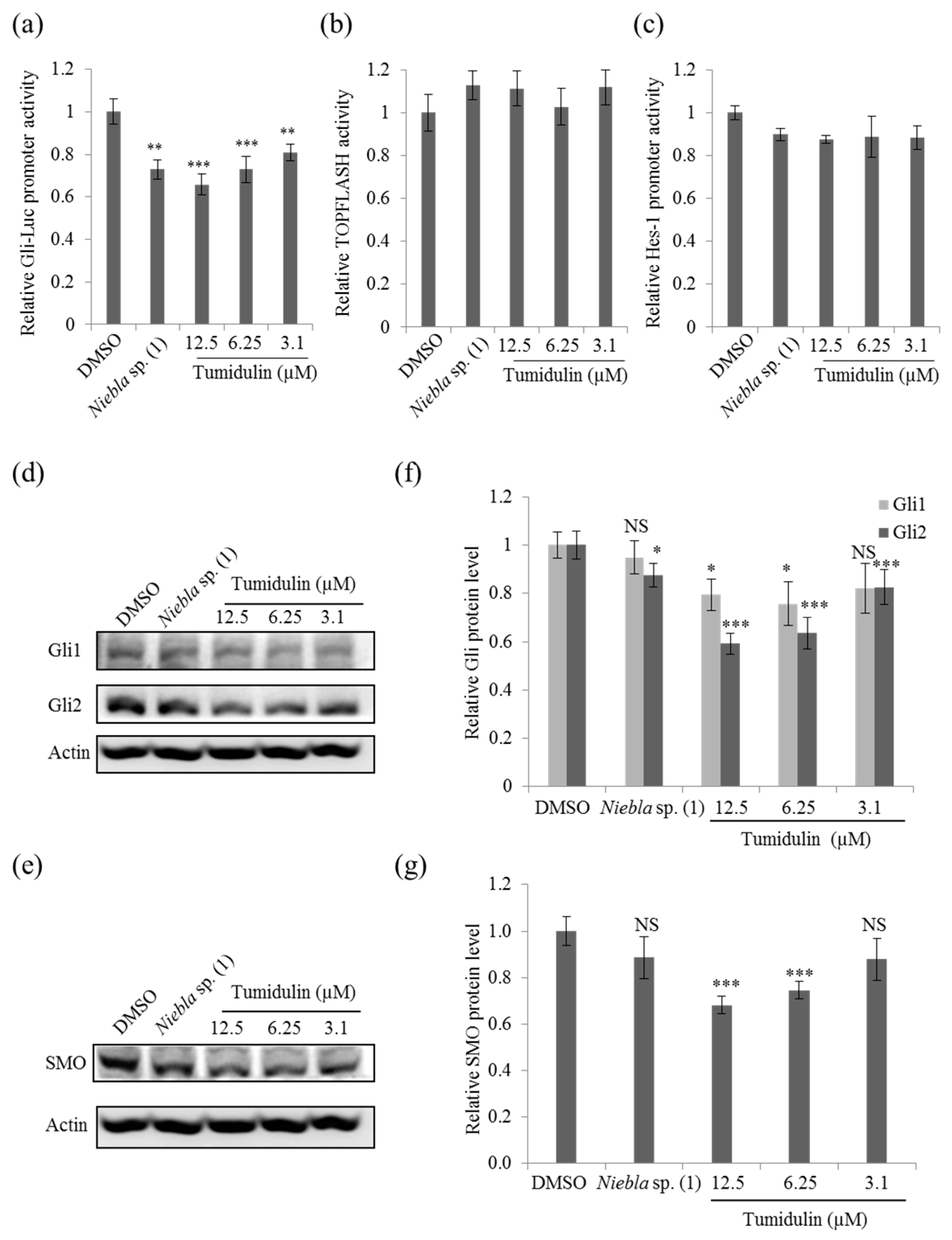 Molecules 23 02968 g005 Molecules 23 02968 g005
