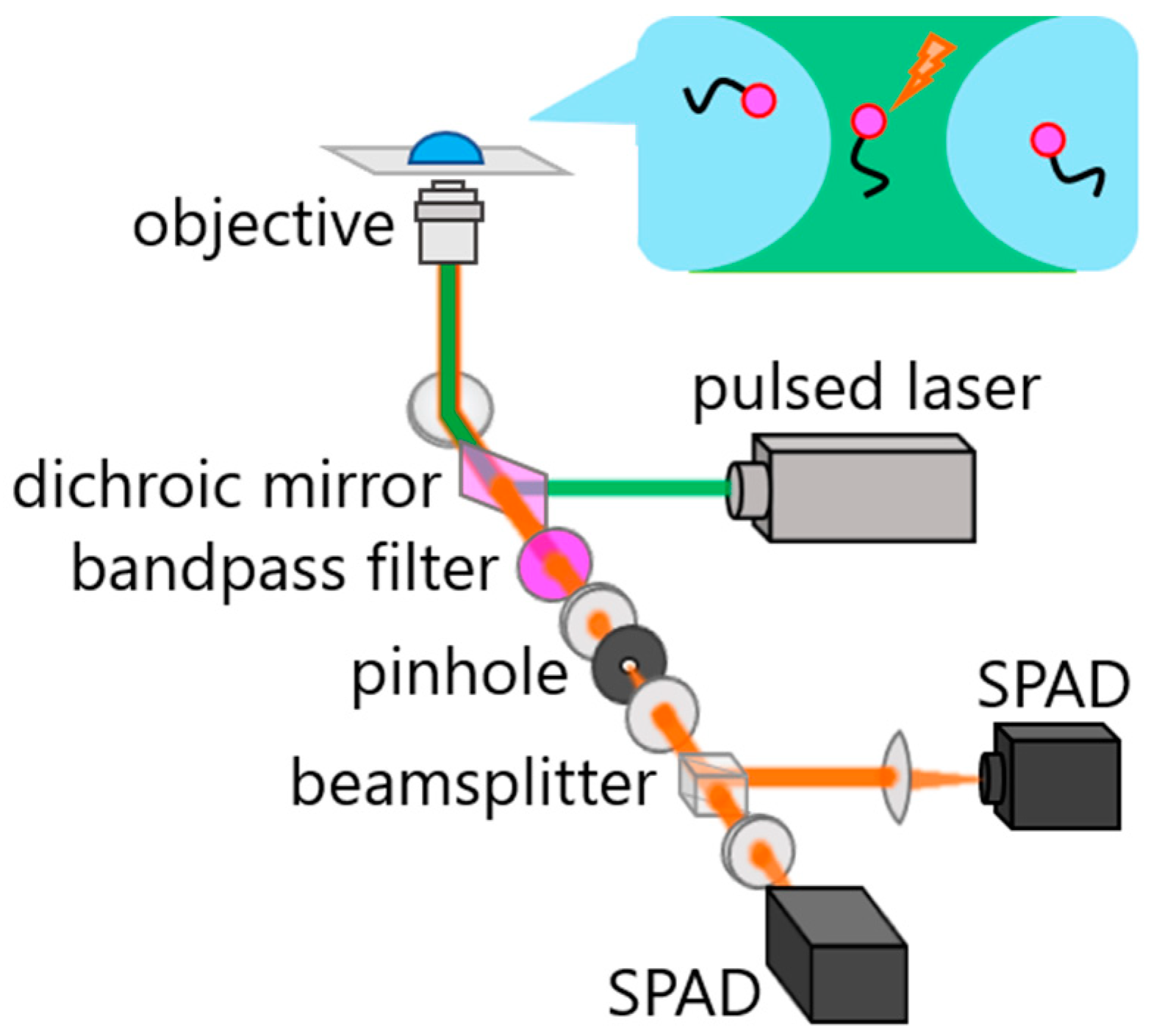 Molecules 23 02972 g001 Molecules 23 02972 g001