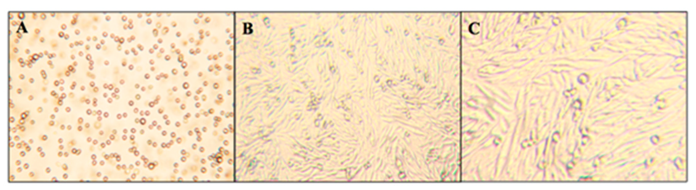 Molecules 23 02979 g004