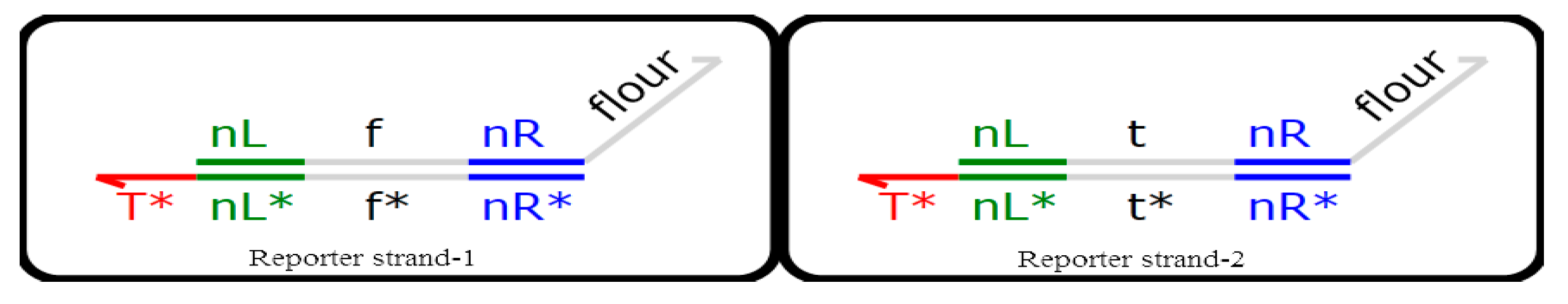 Molecules 23 02989 g009