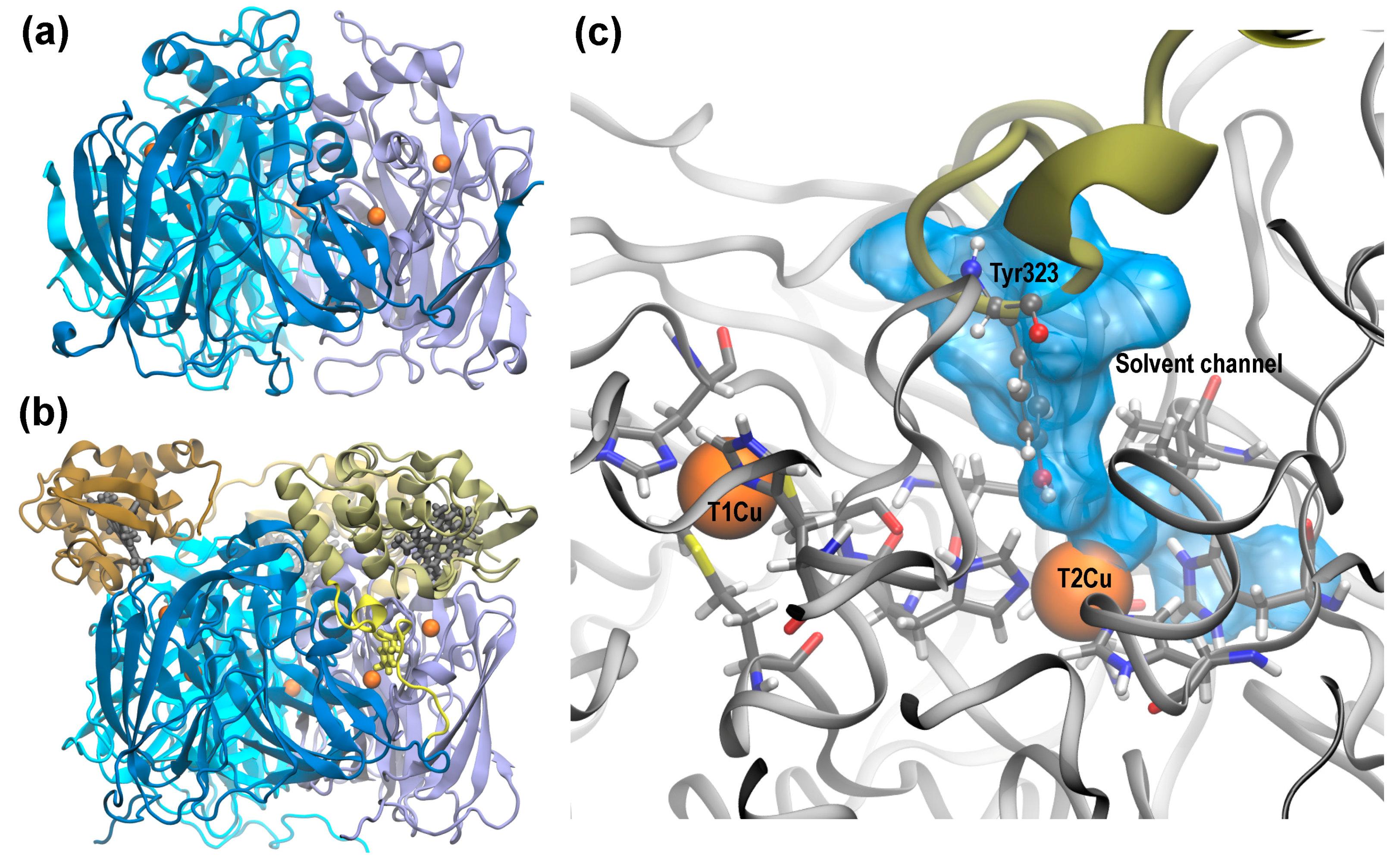 Molecules 23 02997 g001 Molecules 23 02997 g001