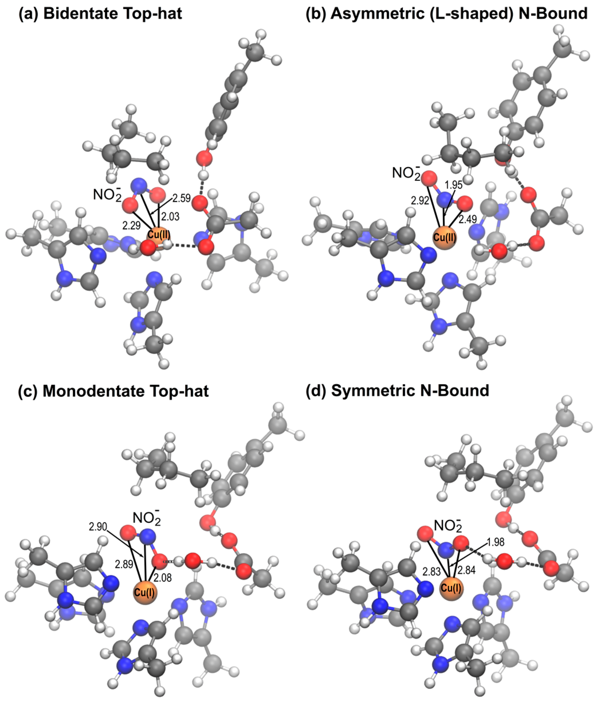 Molecules 23 02997 g004 Molecules 23 02997 g004