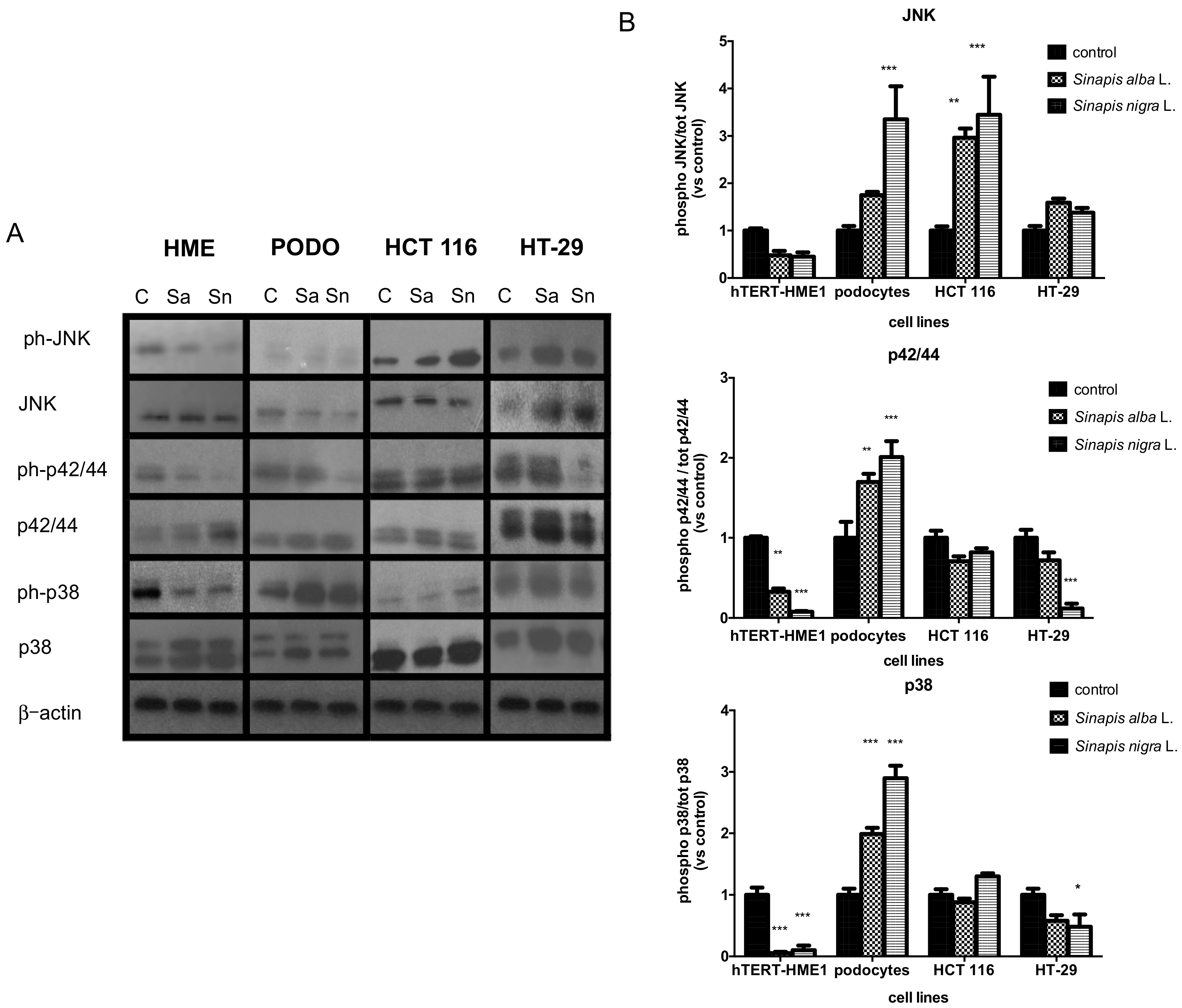 Molecules 23 03004 g002