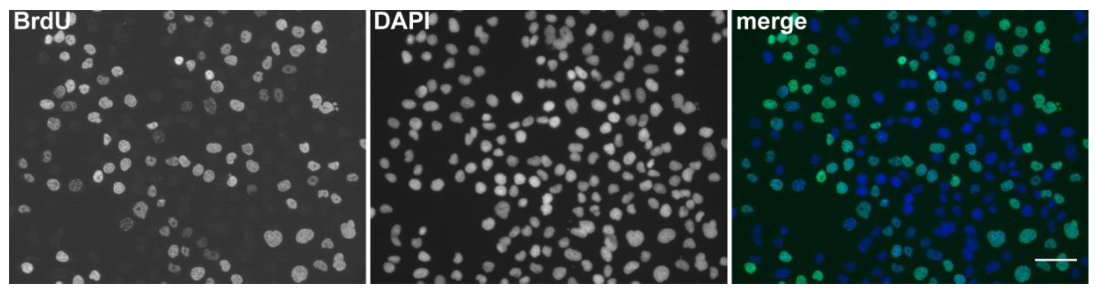 Molecules 23 03007 g001 Molecules 23 03007 g001