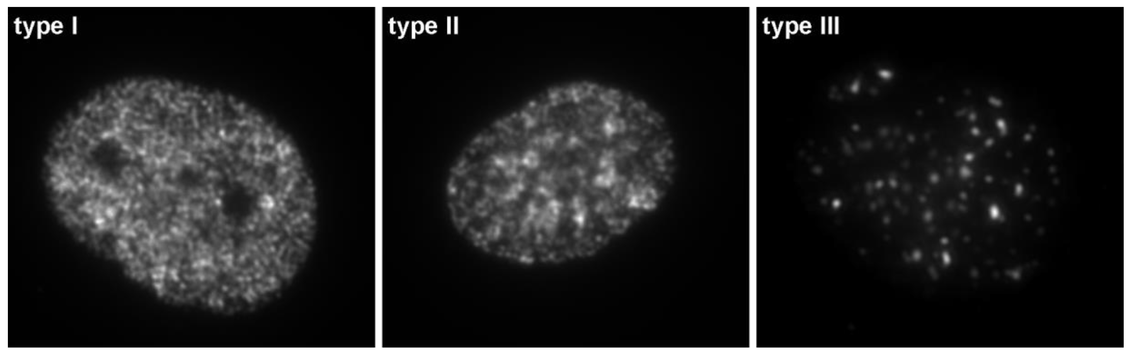 Molecules 23 03007 g003 Molecules 23 03007 g003