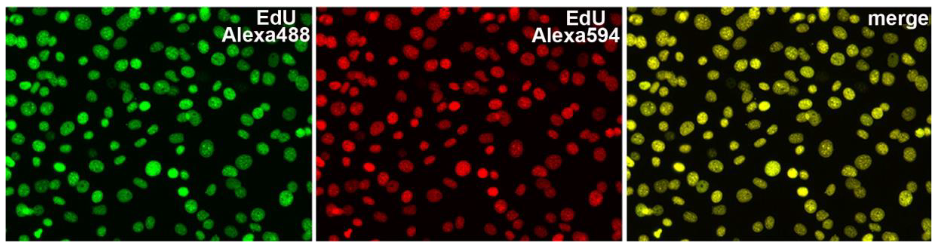 Molecules 23 03007 g005 Molecules 23 03007 g005