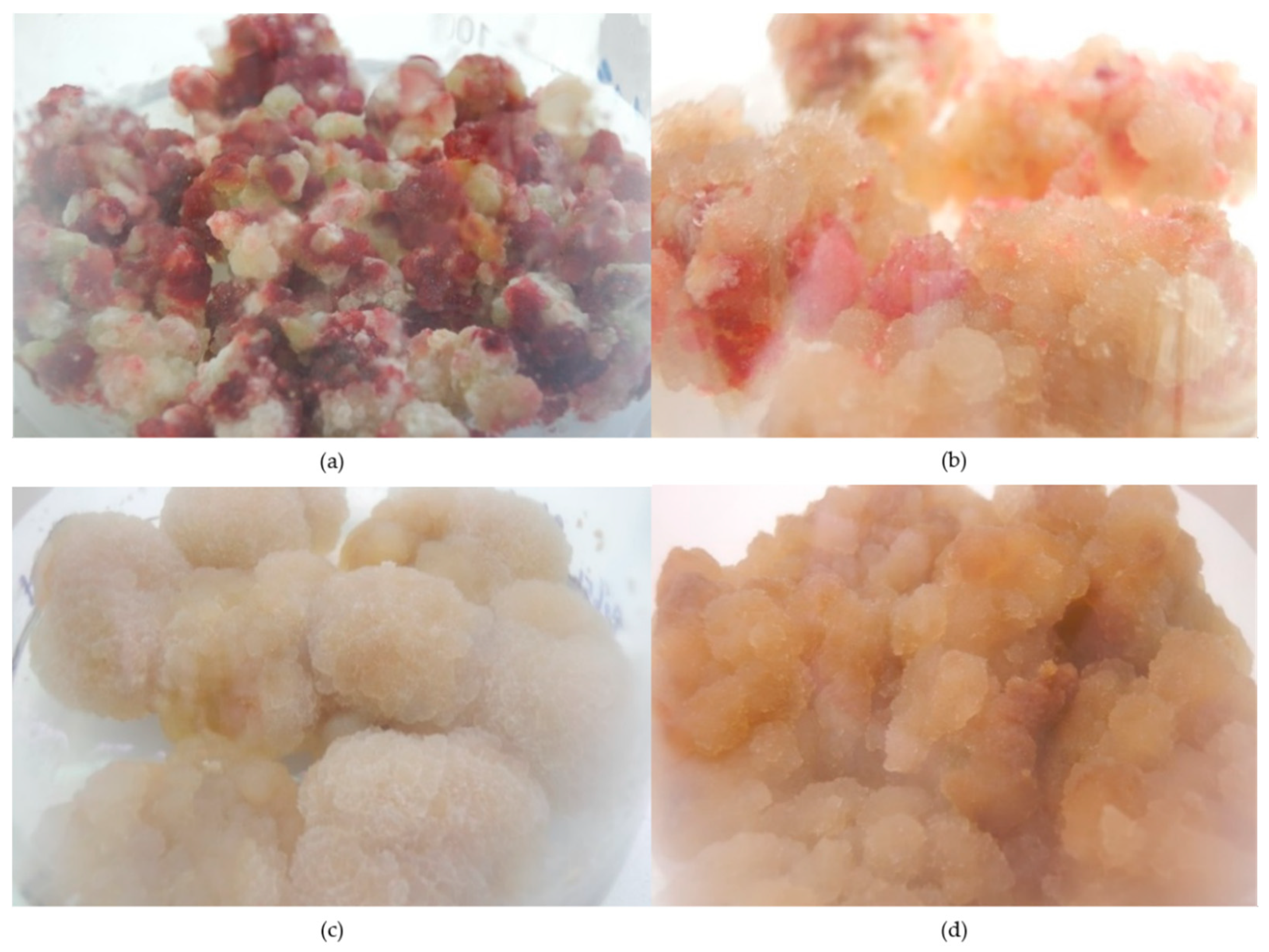 Molecules 23 03009 g001