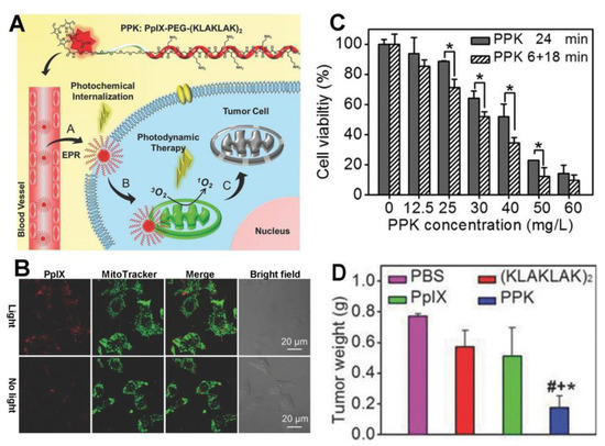 Improving the Phototherapeutic Efficiencies of Molecular and