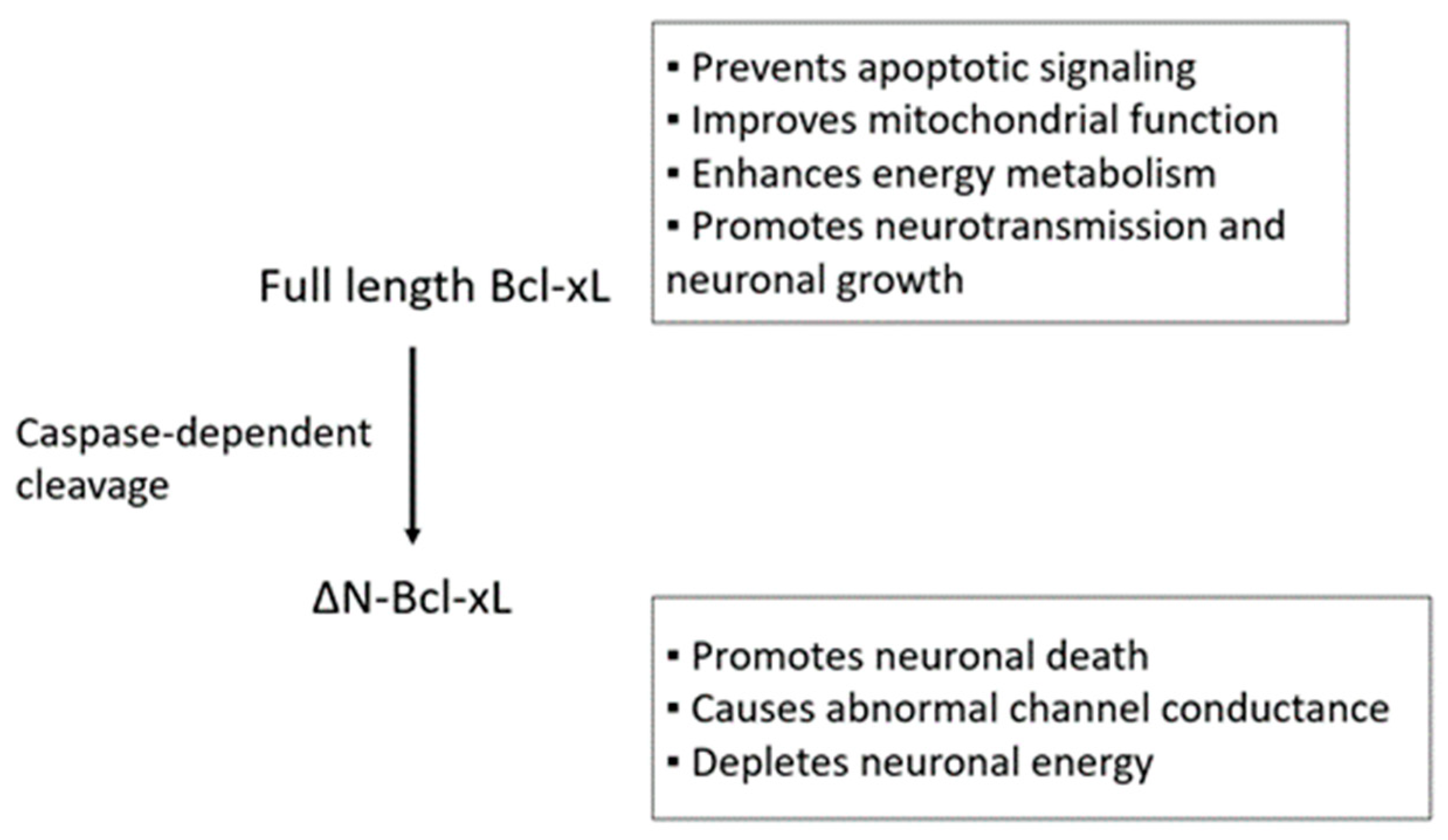 Molecules 23 03019 g001