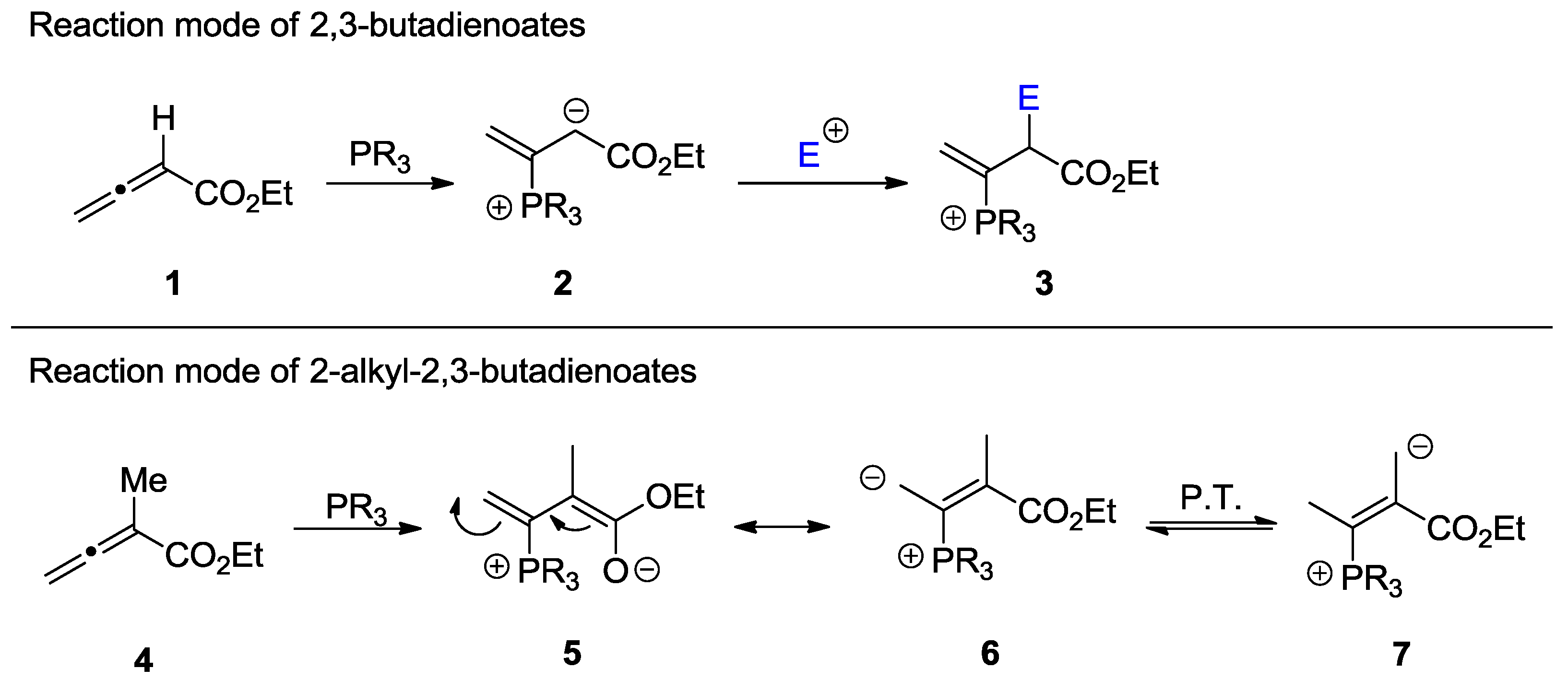 Molecules 23 03022 sch001 Molecules 23 03022 sch001