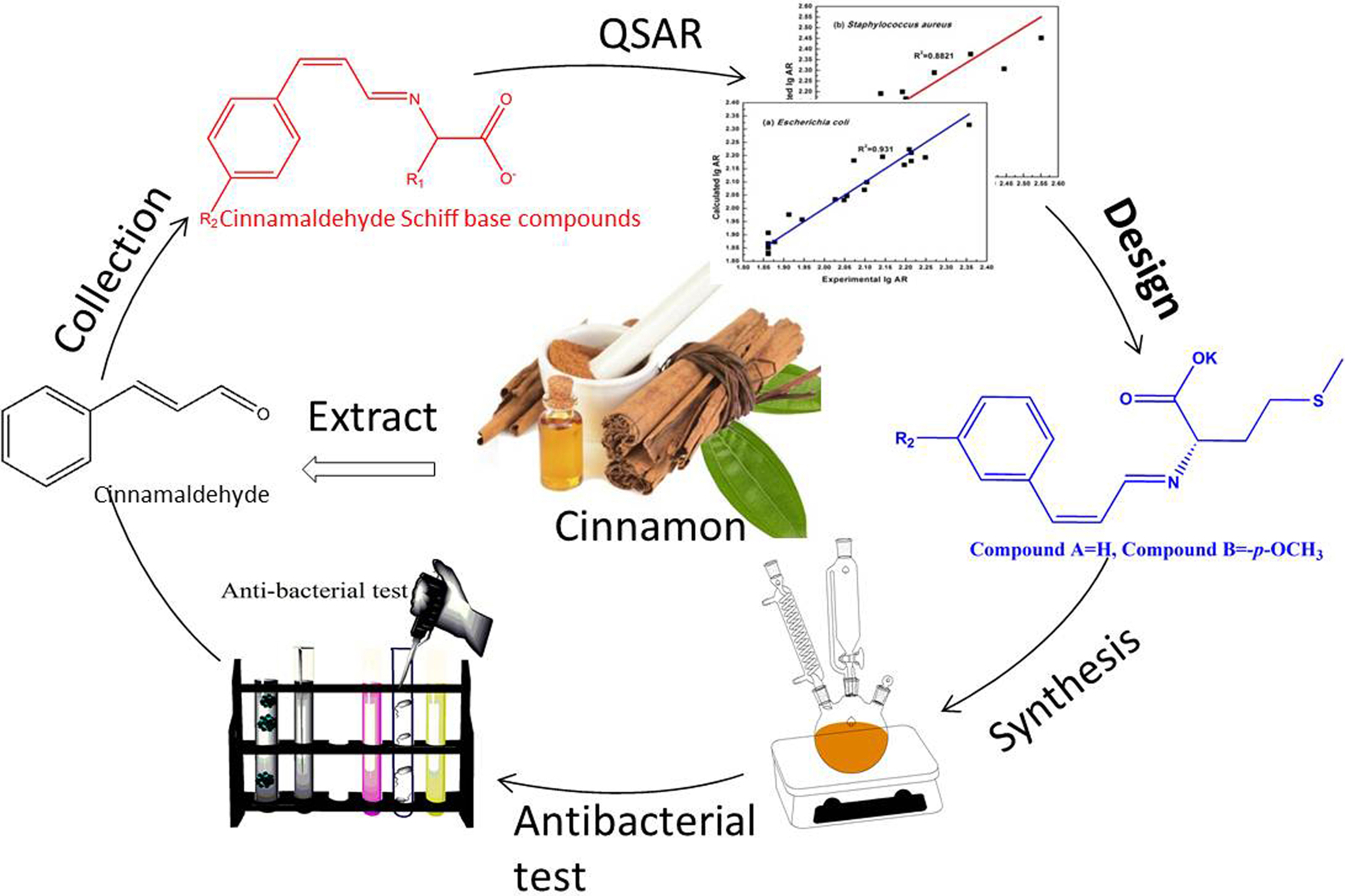 Schiff base research paper 2018 picture