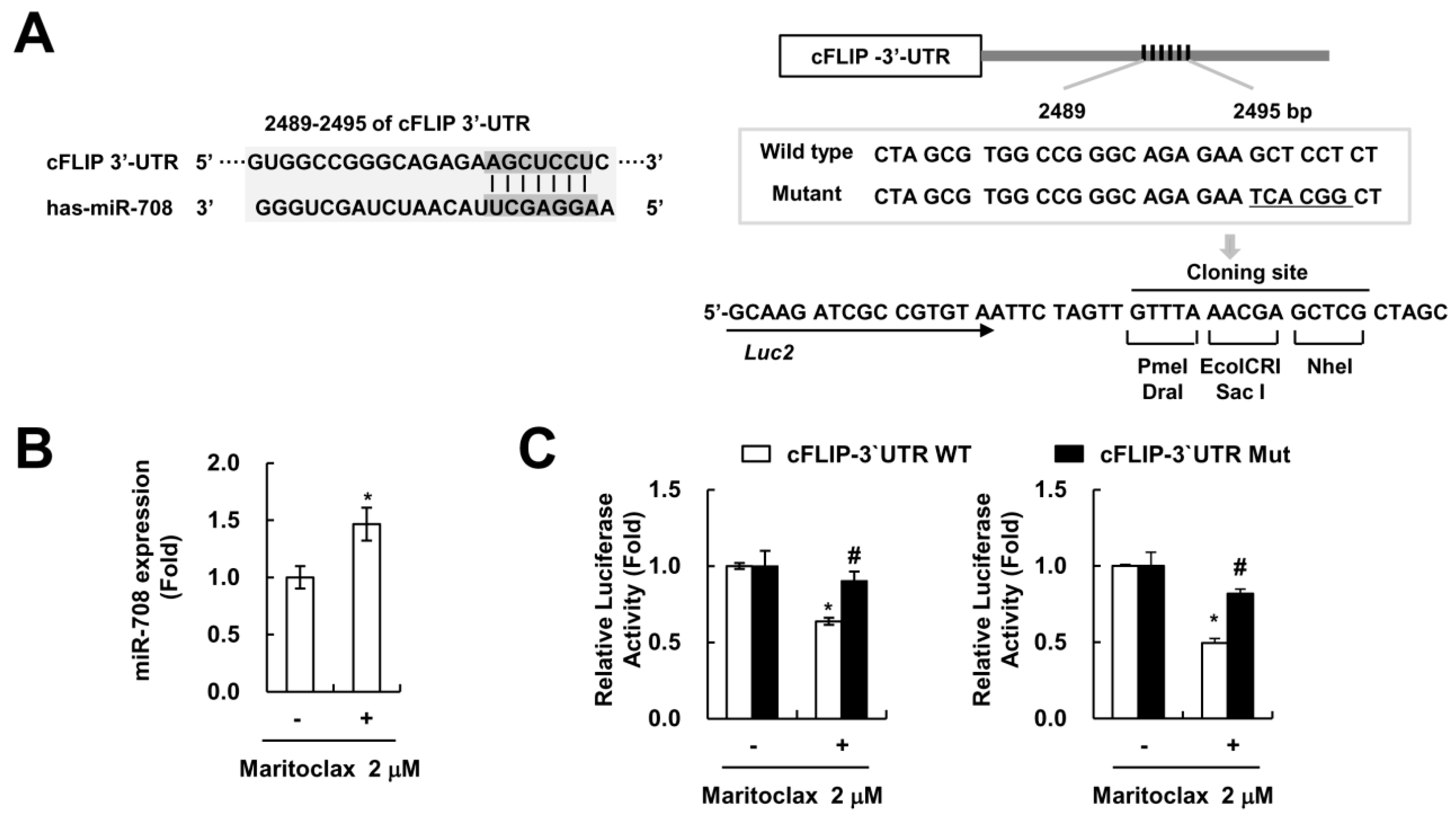 Molecules 23 03030 g006