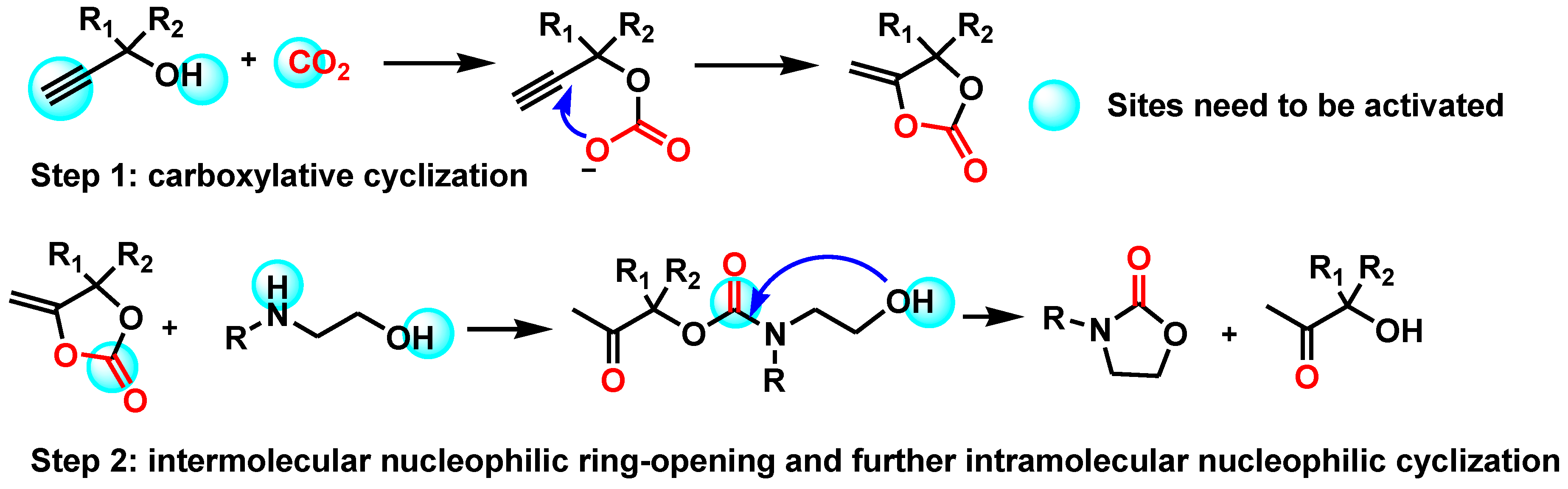 Molecules 23 03033 sch001 Molecules 23 03033 sch001
