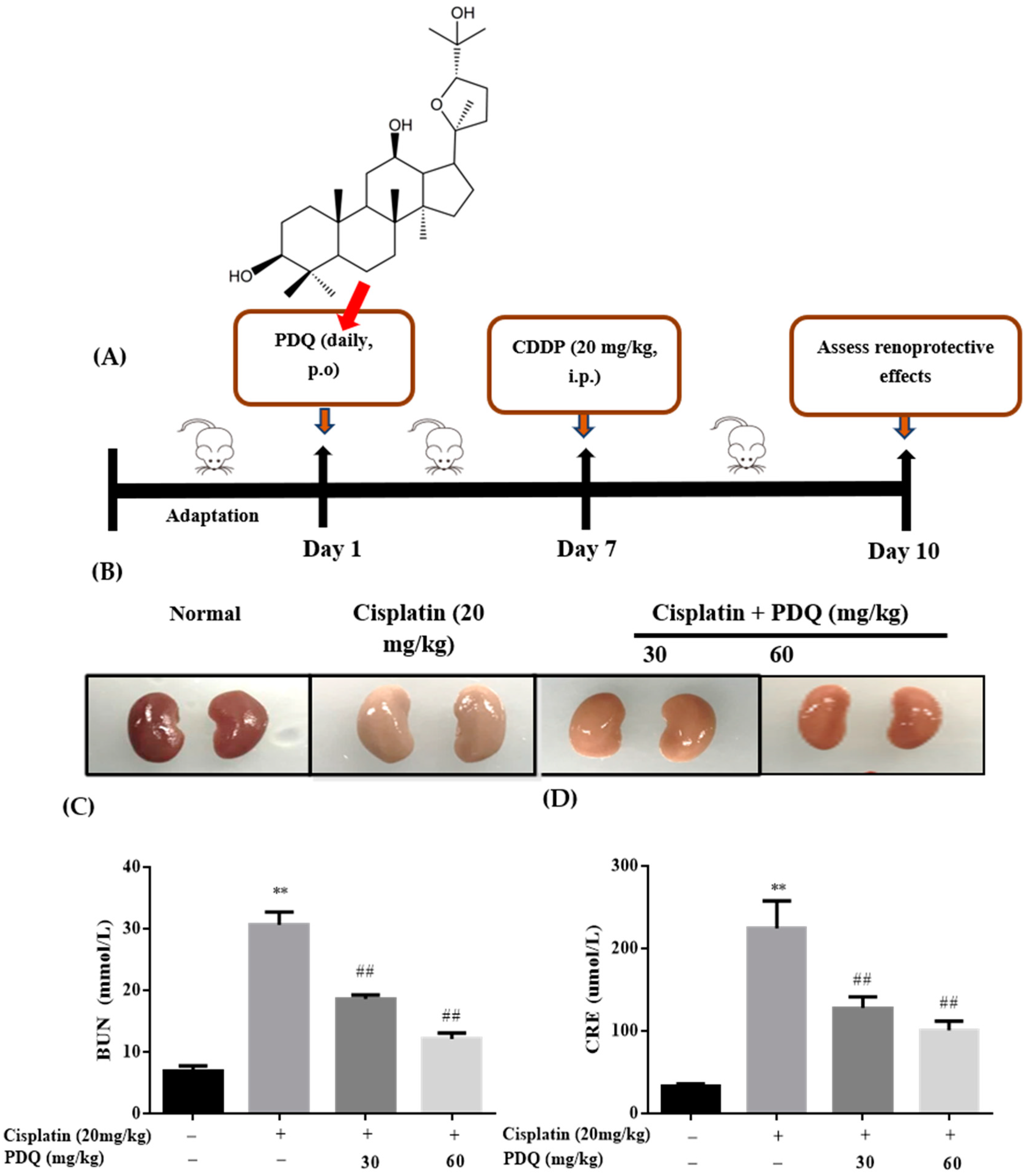 Molecules 23 03038 g001 Molecules 23 03038 g001