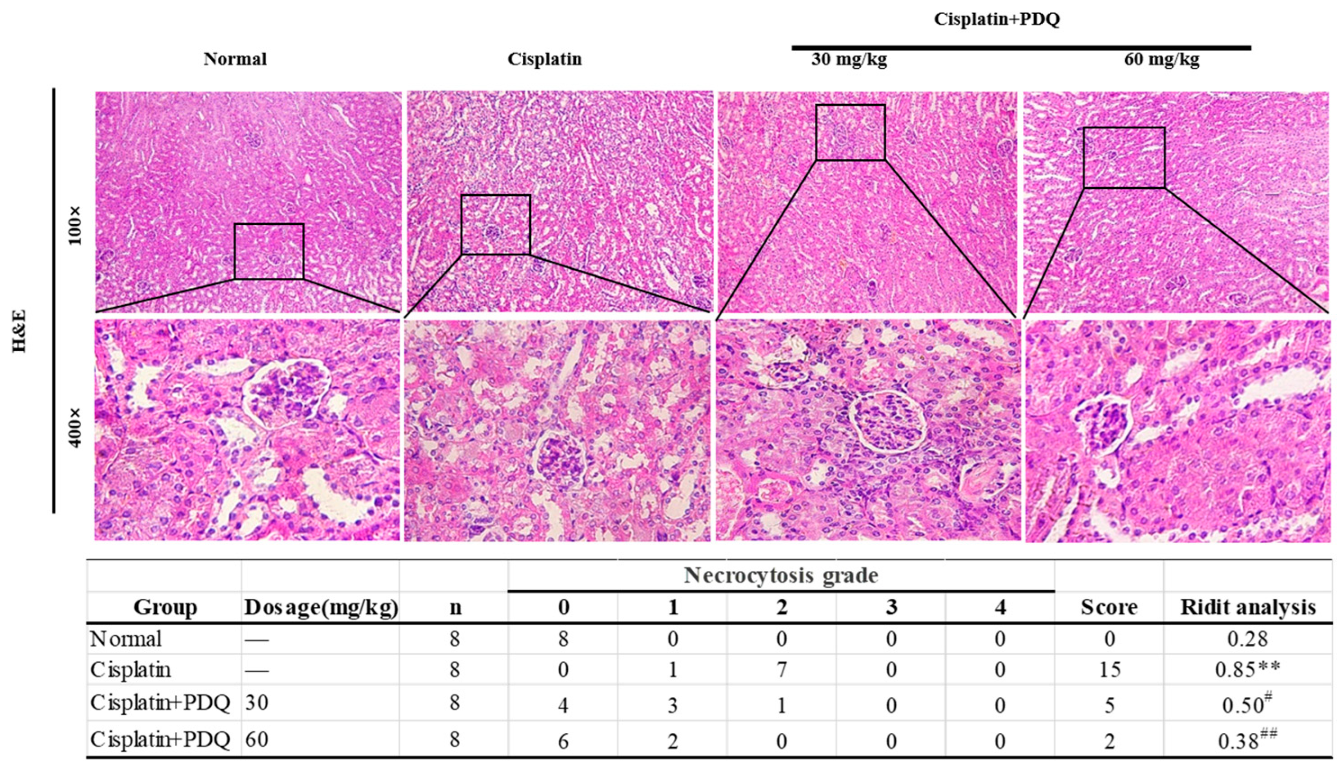 Molecules 23 03038 g002 Molecules 23 03038 g002