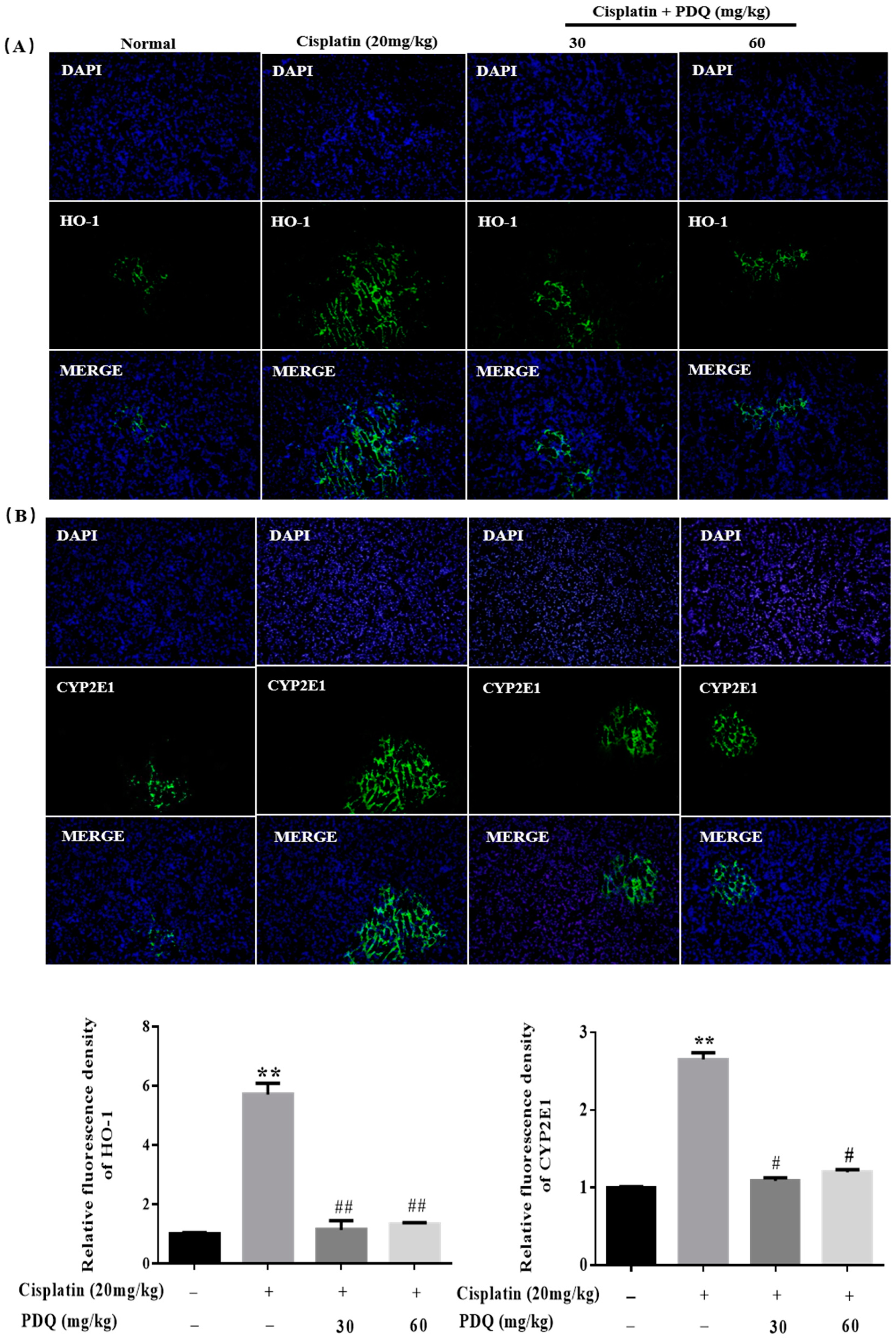Molecules 23 03038 g006 Molecules 23 03038 g006