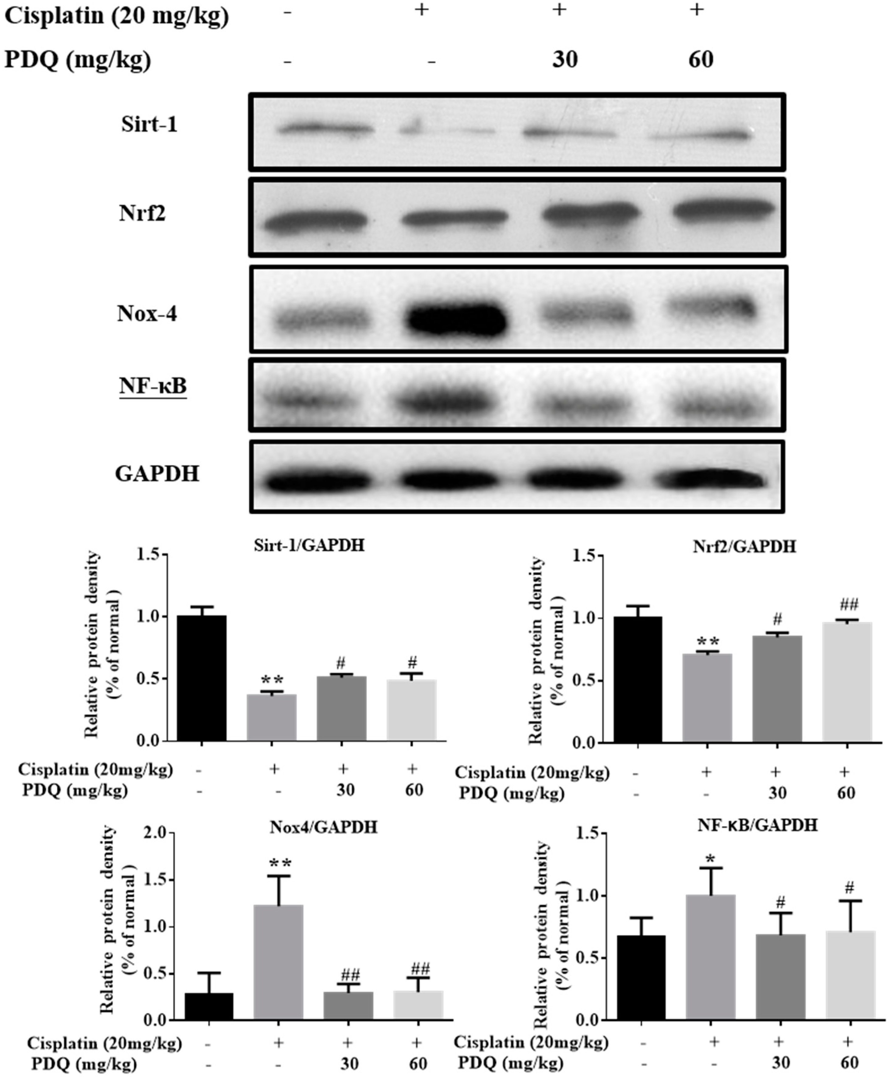 Molecules 23 03038 g007 Molecules 23 03038 g007
