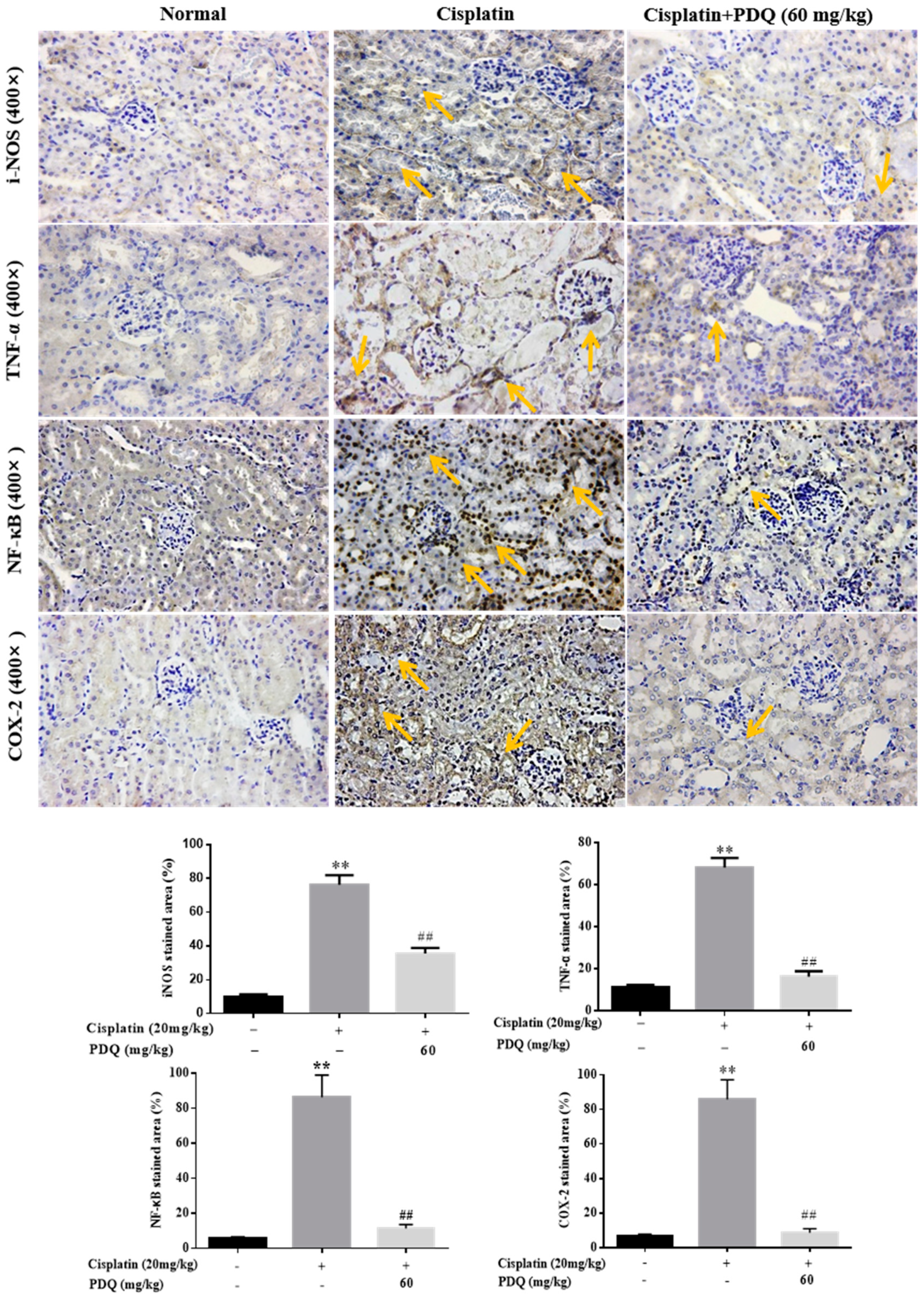 Molecules 23 03038 g009 Molecules 23 03038 g009