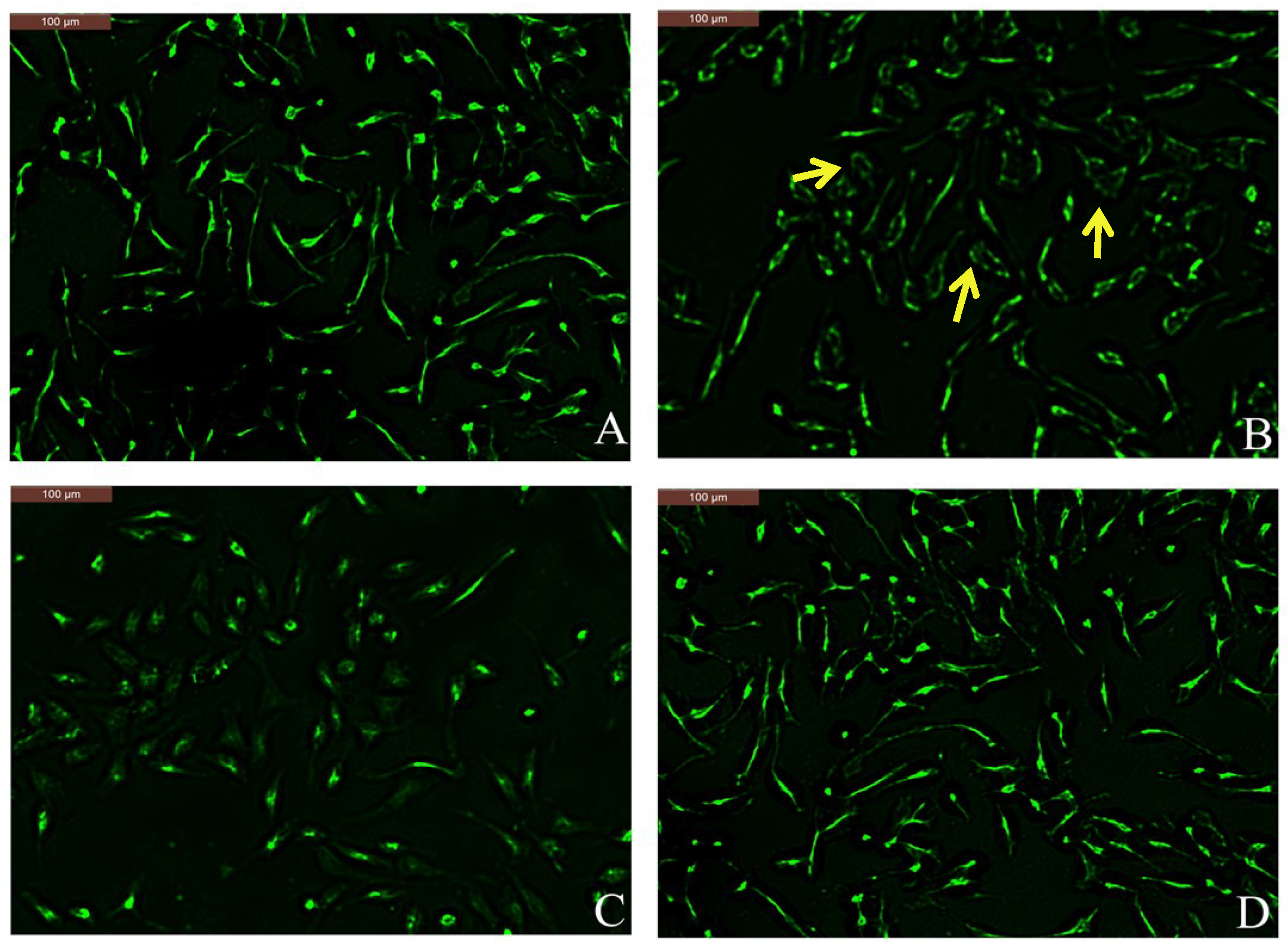 Molecules 23 03039 g005 Molecules 23 03039 g005