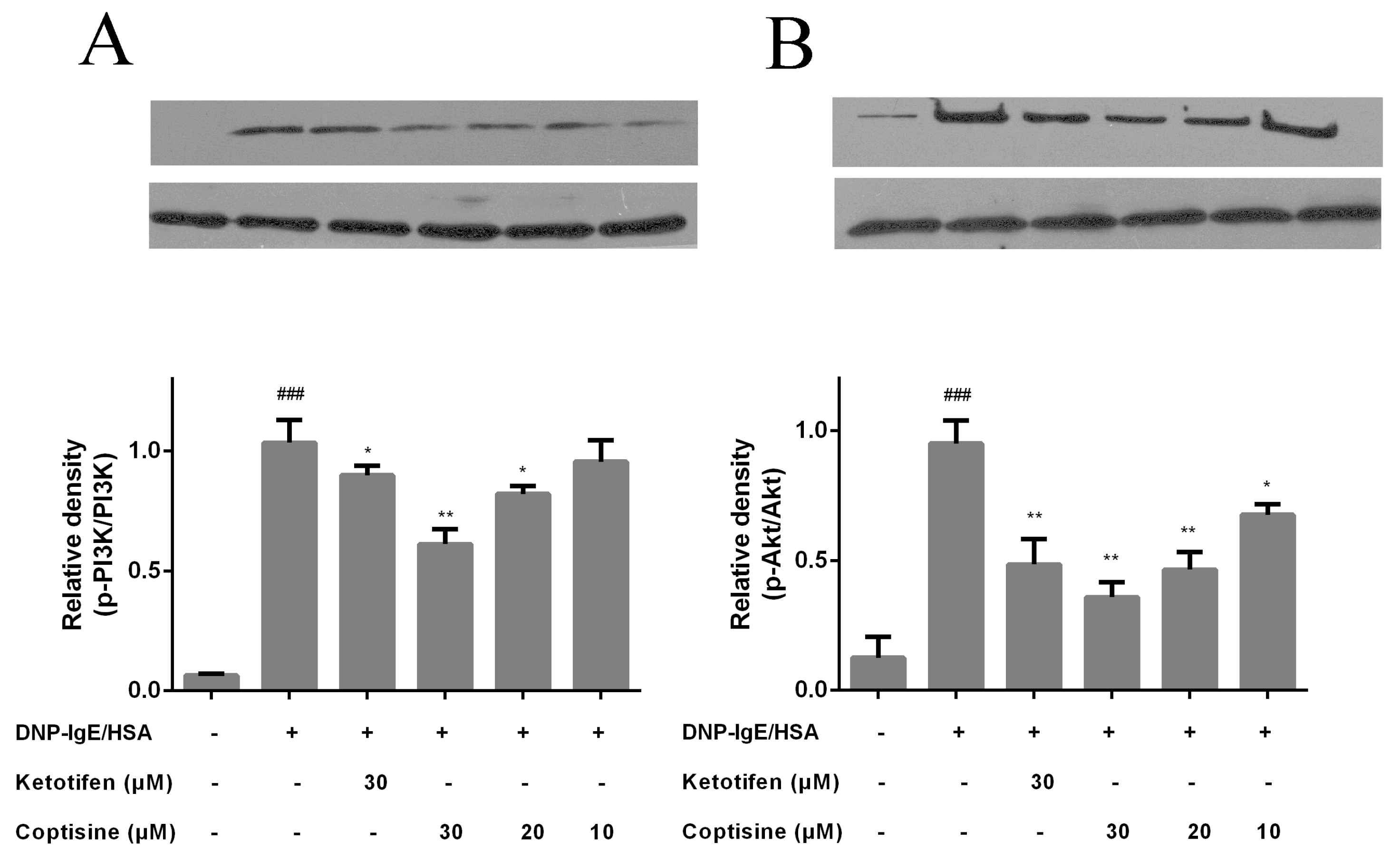 Molecules 23 03039 g006 Molecules 23 03039 g006