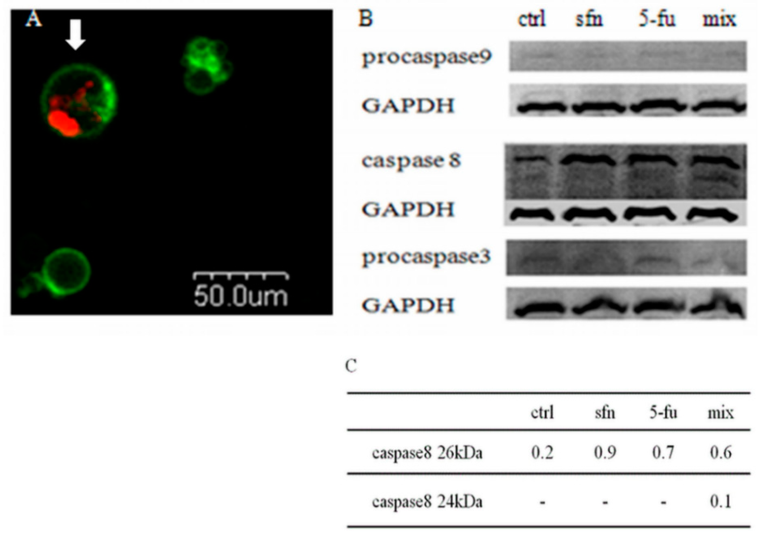 Molecules 23 03040 g006 Molecules 23 03040 g006