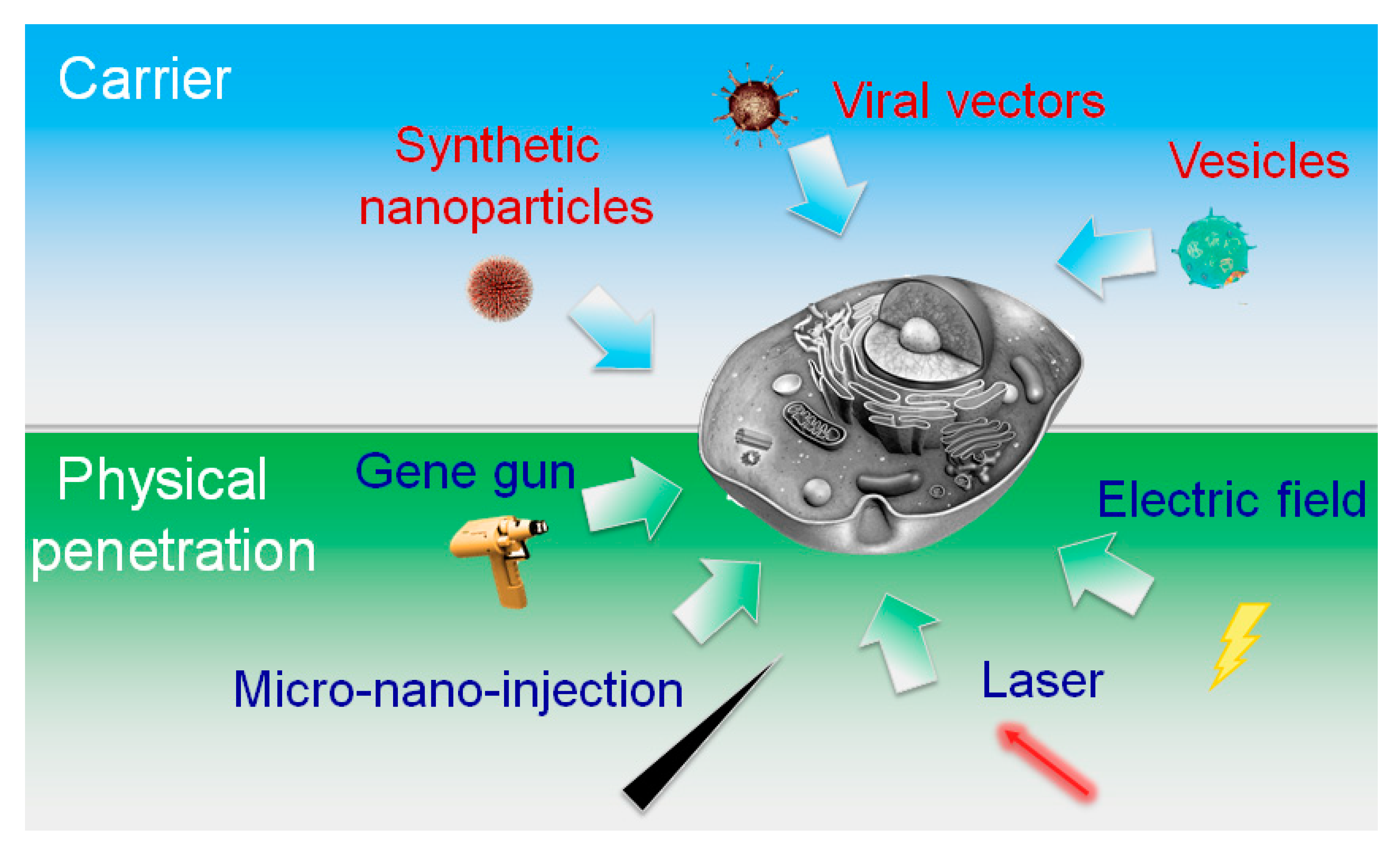 Molecules 23 03044 g002 Molecules 23 03044 g002