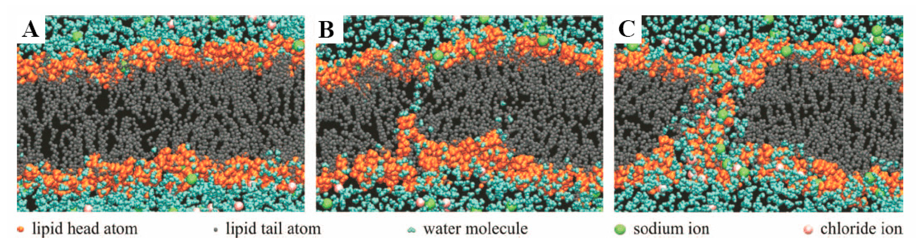 Molecules 23 03044 g004 Molecules 23 03044 g004