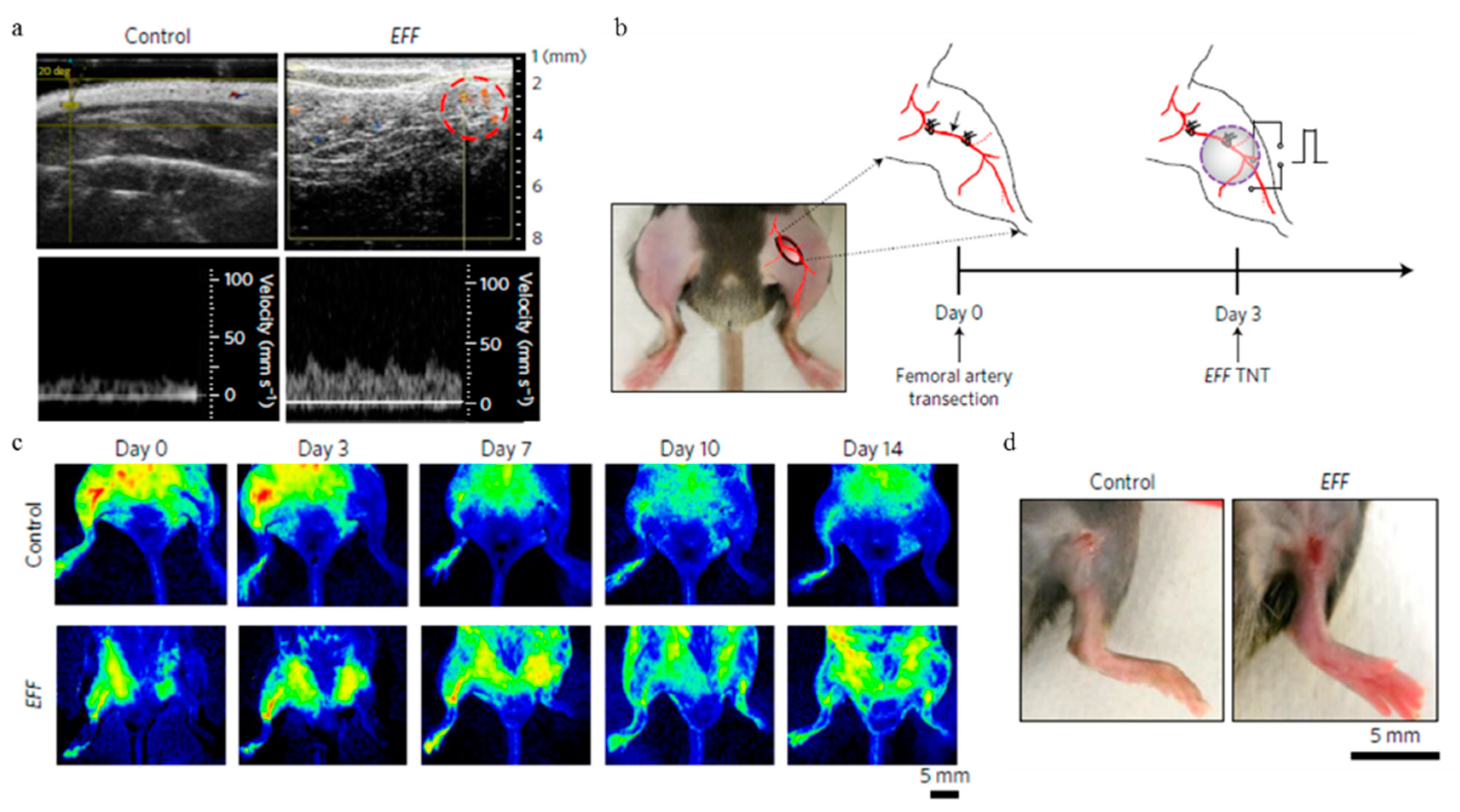 Molecules 23 03044 g010 Molecules 23 03044 g010
